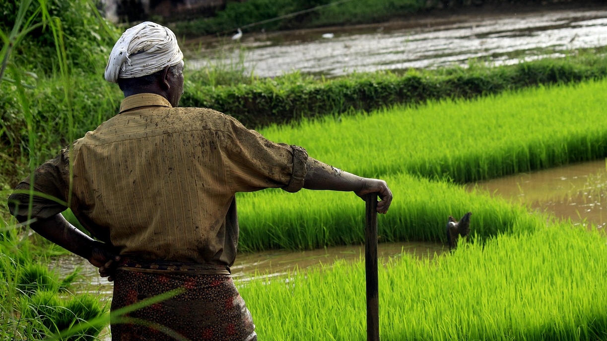 Combating impact of climate change on Agriculture: How farmers can help