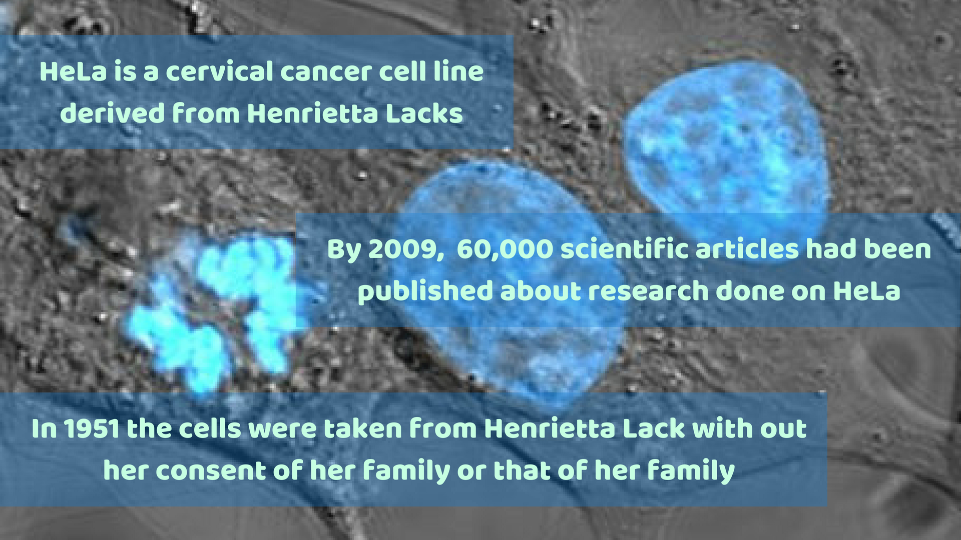 The HeLa Cells: The legacy of a death that saved many lives