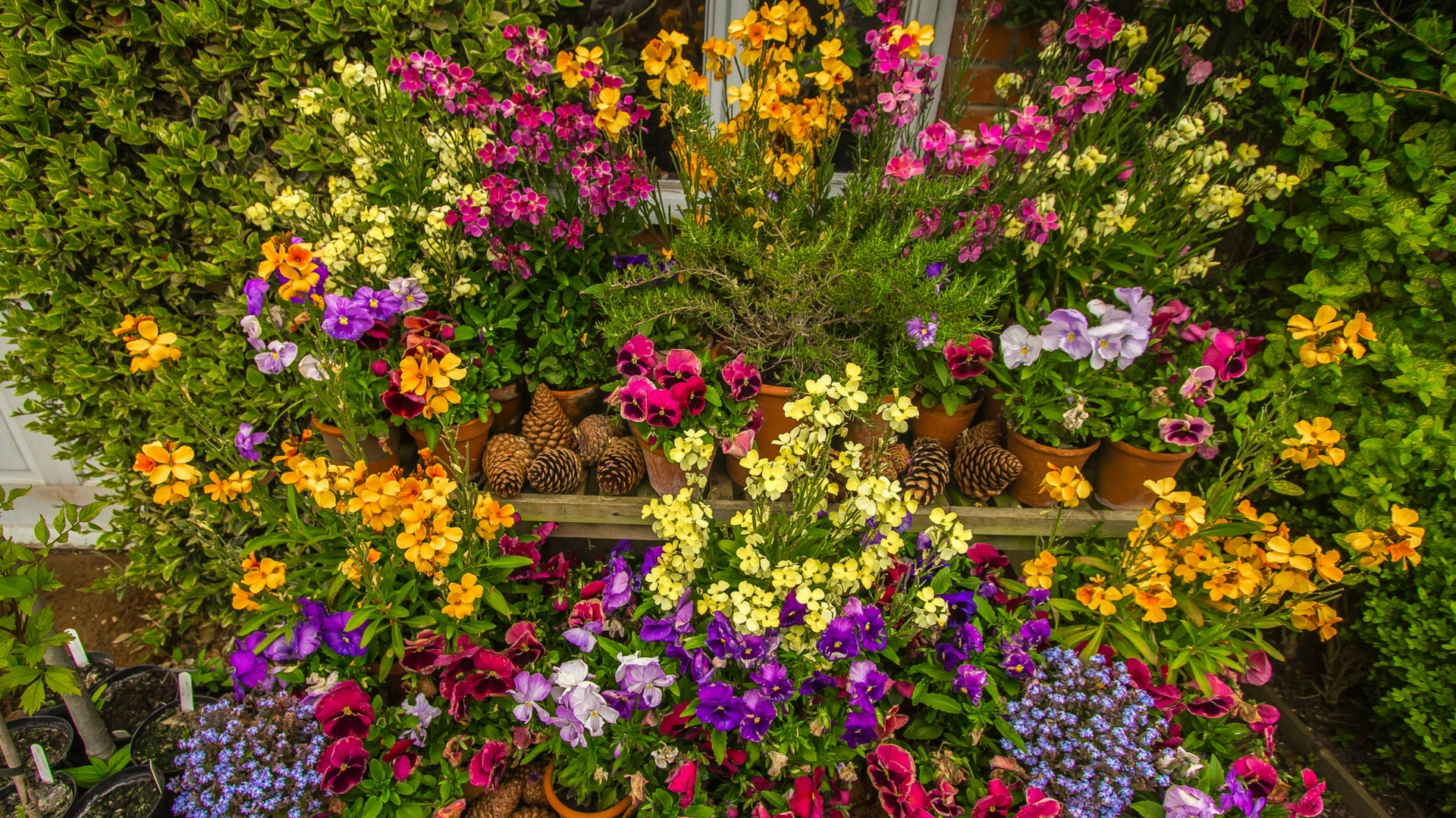Scientists turn garden waste into fuel pellets
