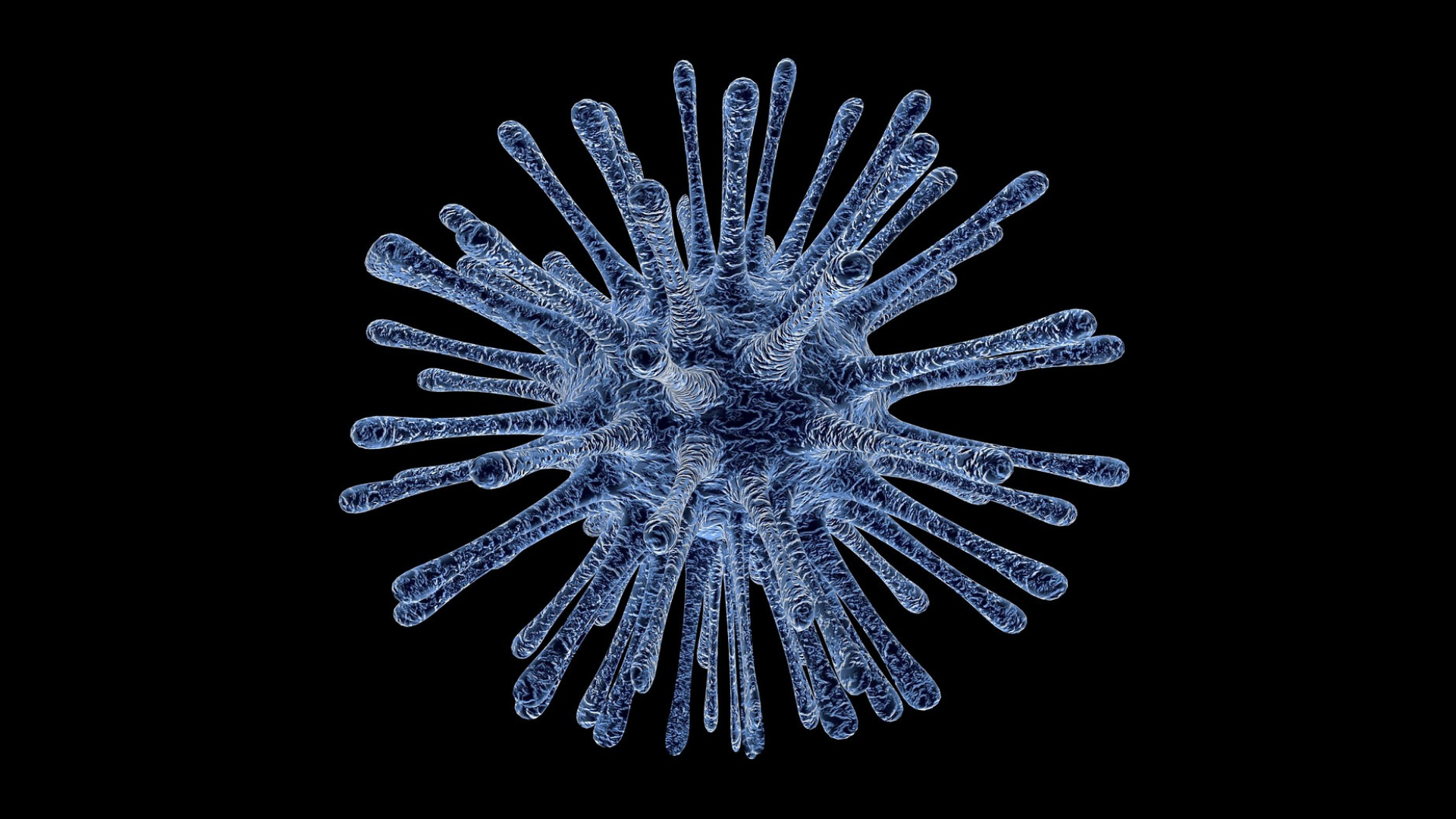 Researchers test the safety of adeno-associated viruses for gene therapy