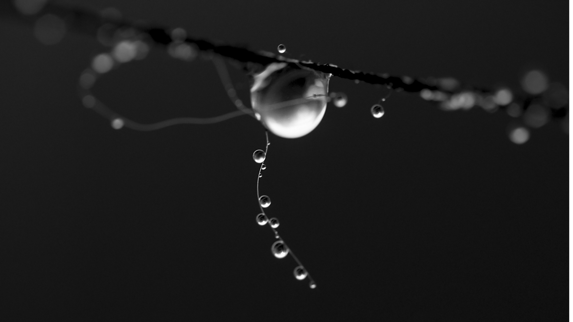 Water - the centrepiece that holds insulin molecules together