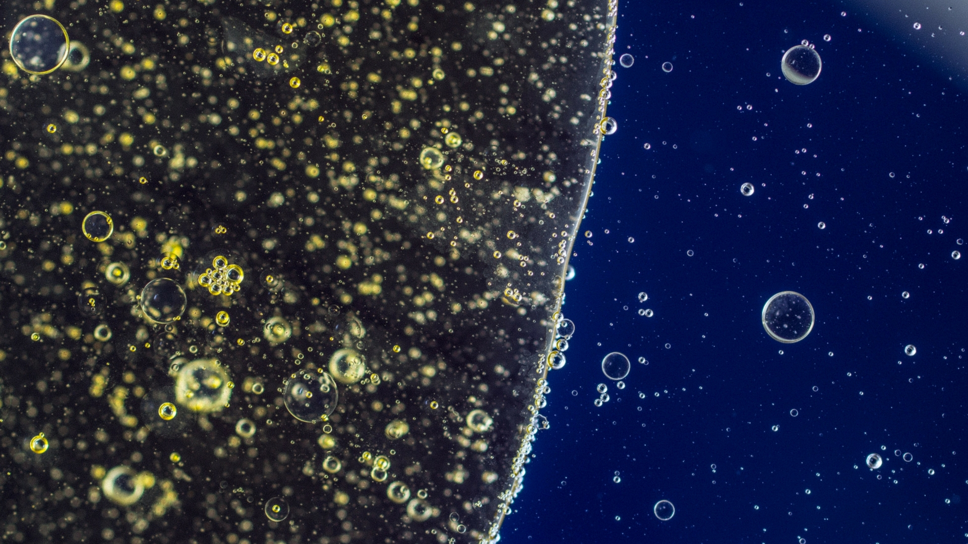 Bioremediation: Cultivating microbes to clear our oil mess