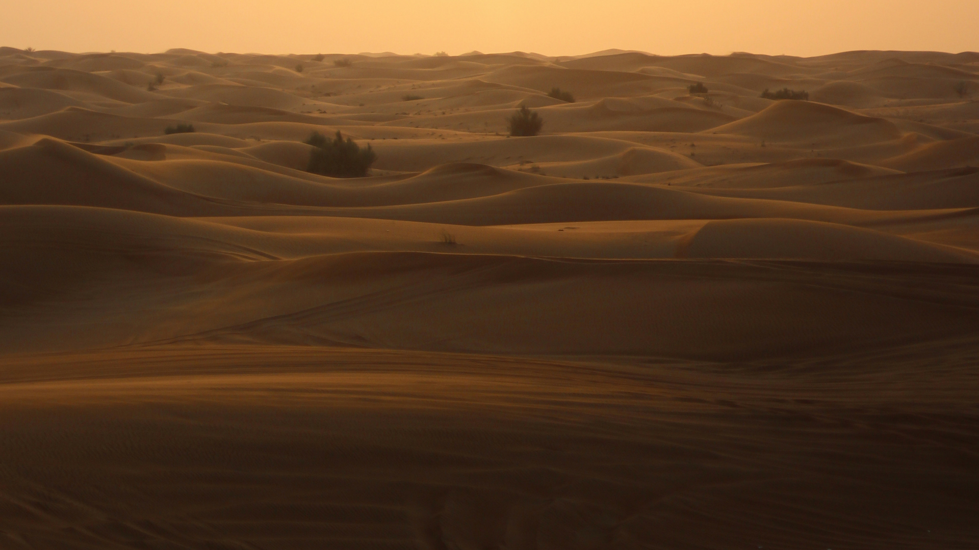Extreme Existence – A Census of Microbes in Thar