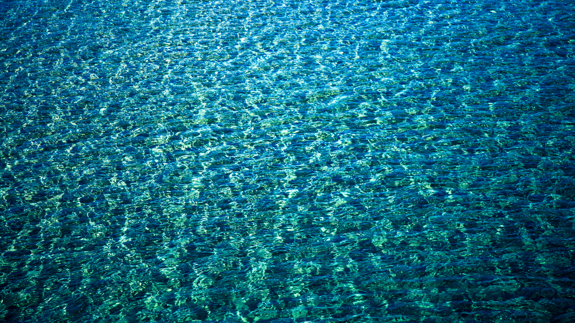 Combining satellite imagery and sonar data to measure the depth of shallow water bodies
