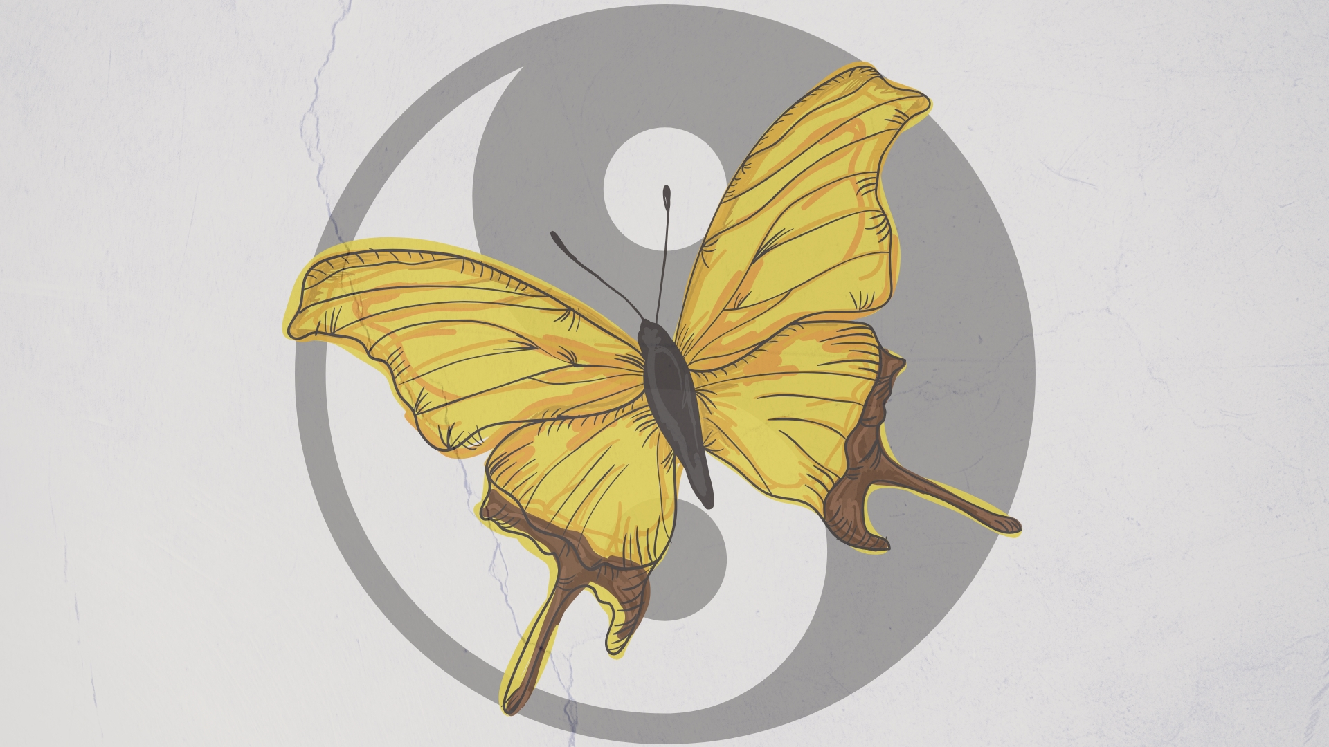 The Yin and Yang of ecology and evolution
