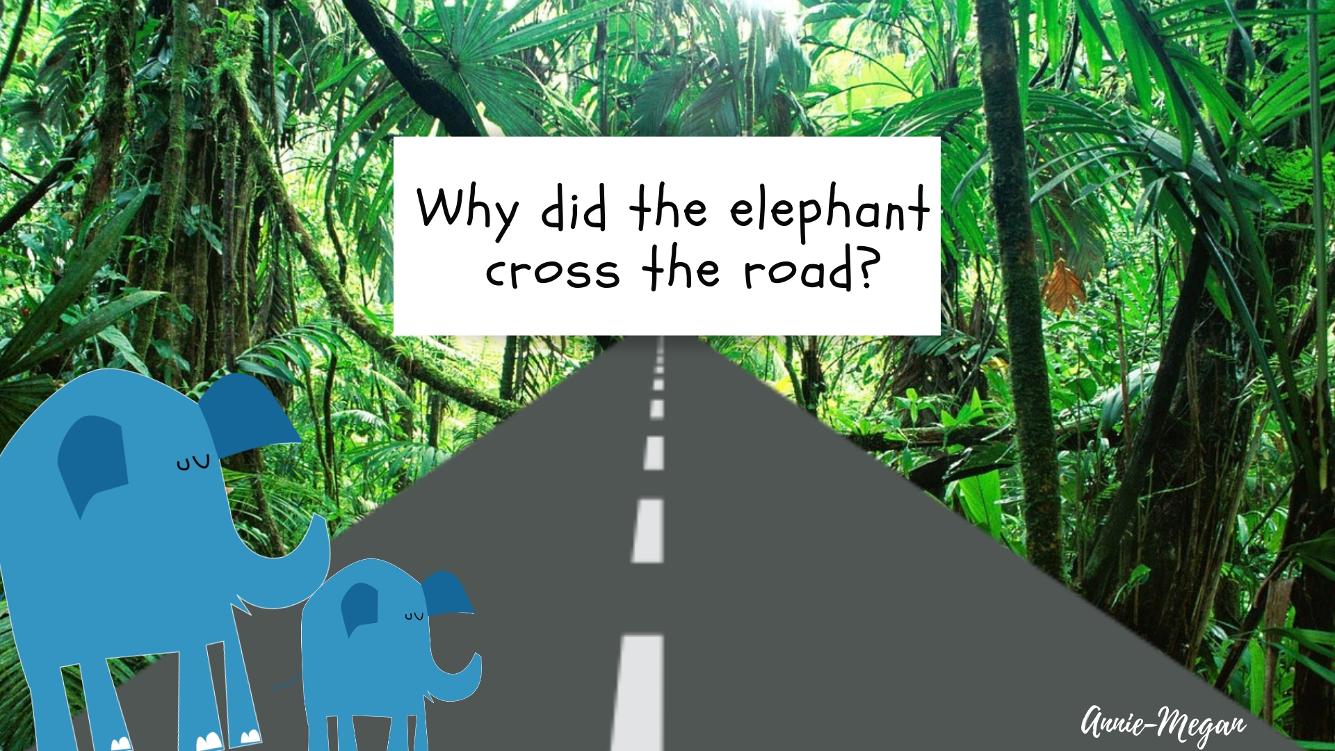 Habitat Fragmentation and Wildlife Crossings