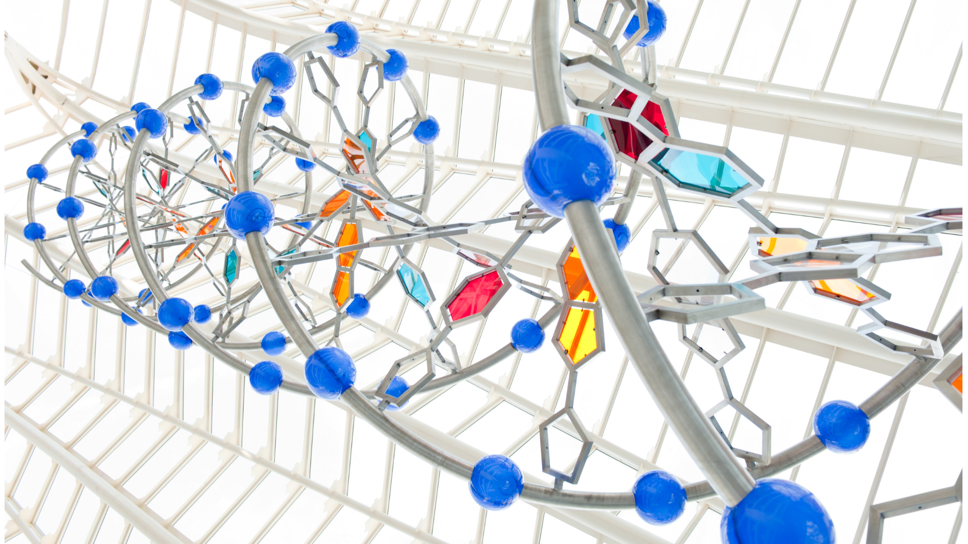 Study finds a link between the action of a protein in the nucleus and the cytoplasm