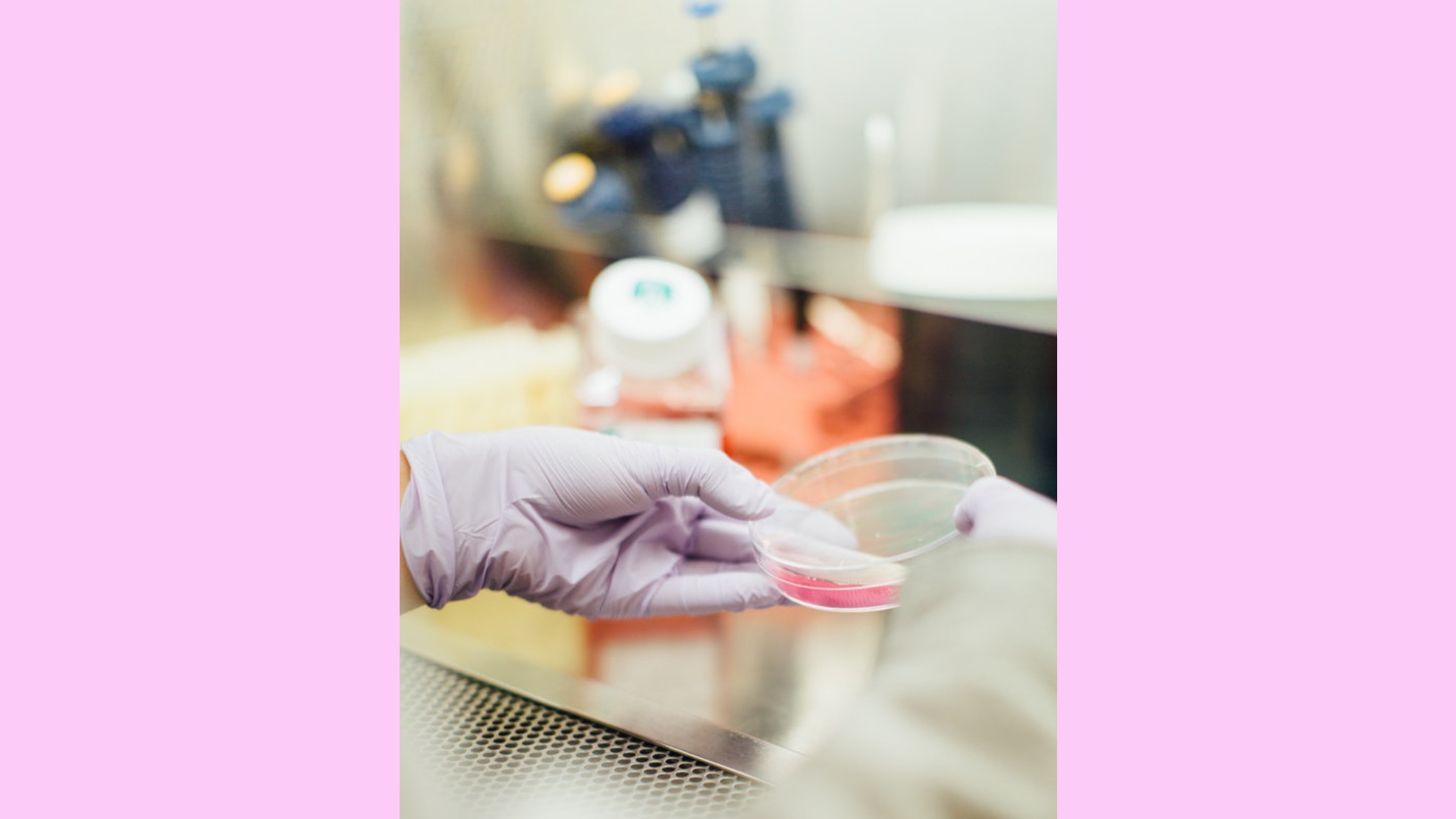 The carcinogenic role of untranslated RNAs