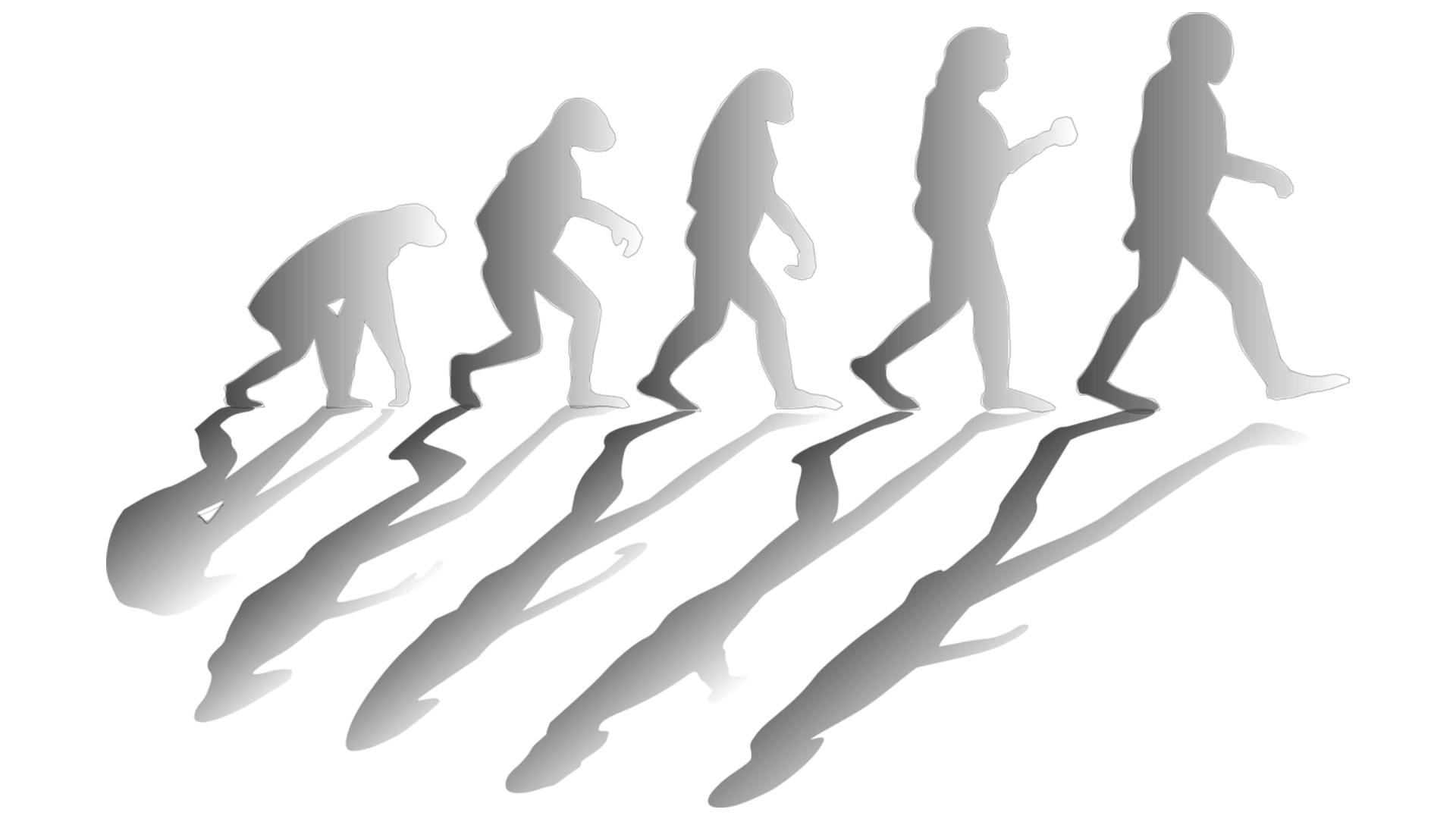 It’s time for some evolutionary biology lessons: JNCASR to host the first SERB-sponsored school in Evolutionary Biology