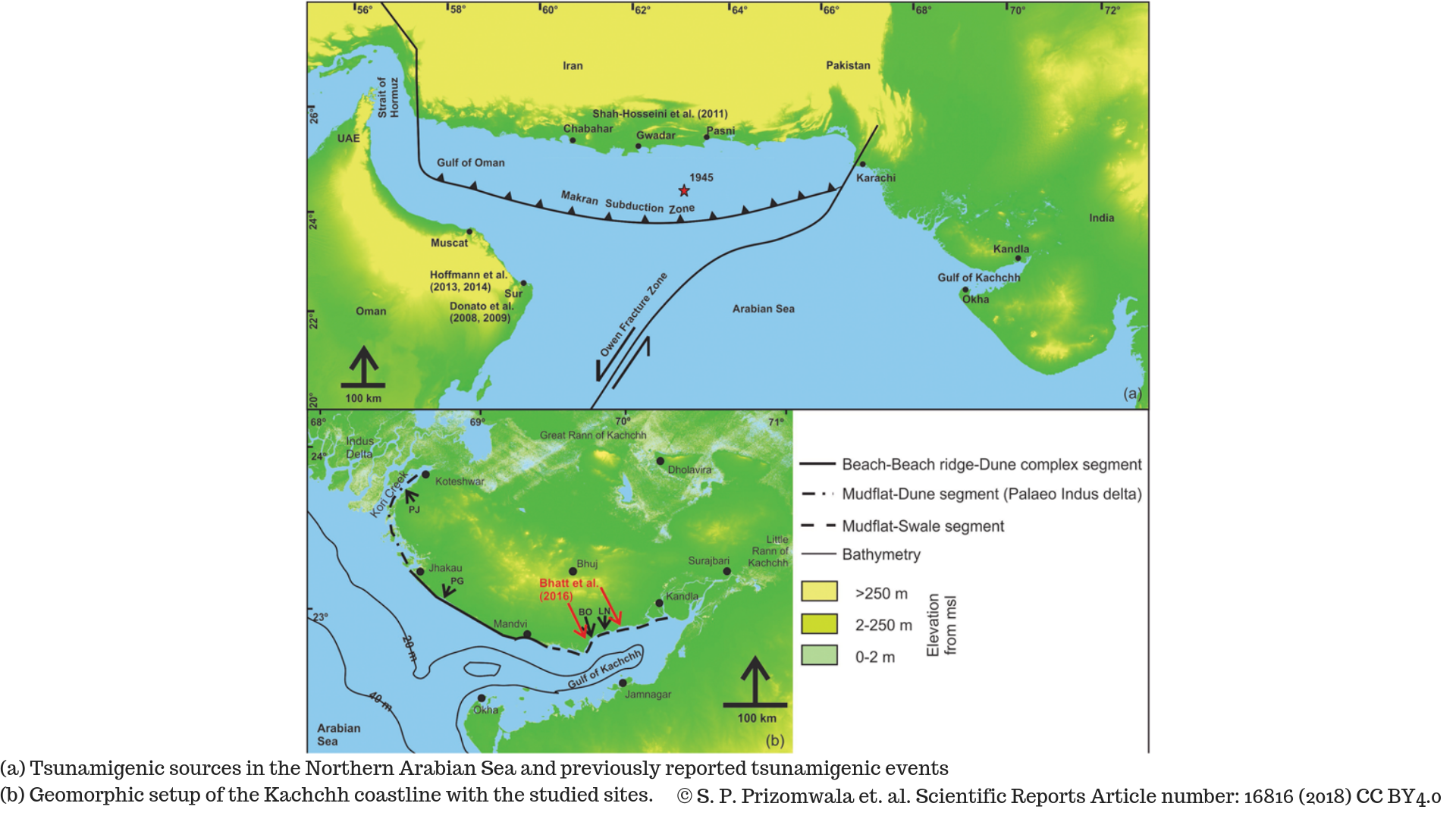 Study finds evidence of an ancient tsunami in the coastlines of the Kachchh