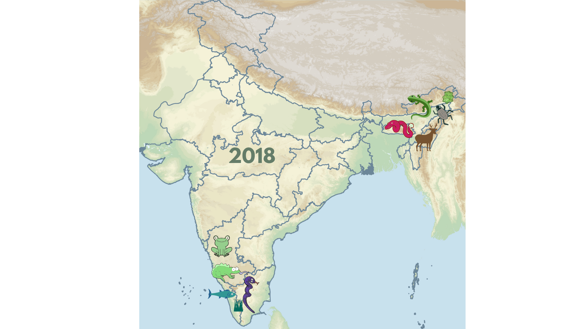 Our new neighbours of 2018: A snapshot of newly discovered species from India in 2018