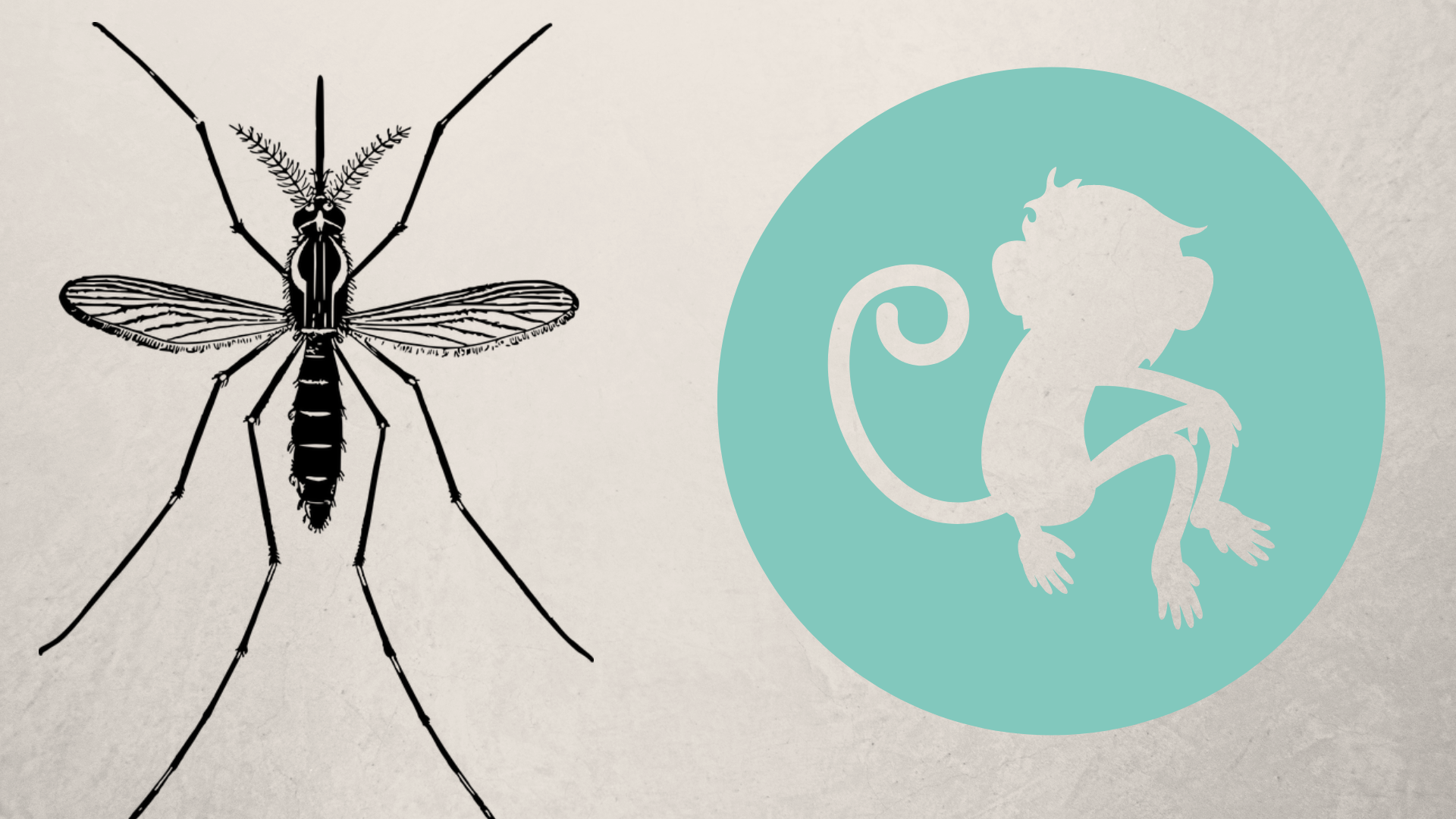Study reveals the spread of Zika virus in Asia