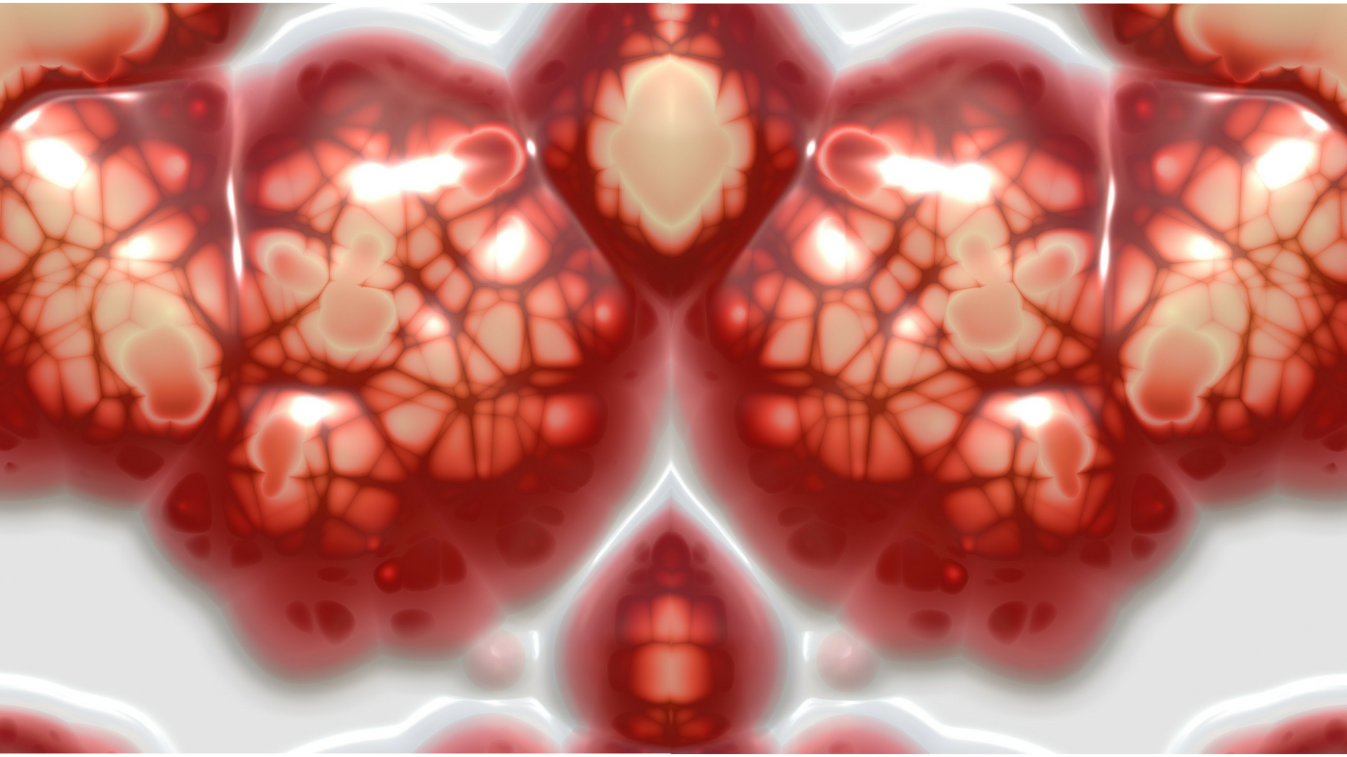 Researchers study the asymmetry in cell division to understand the symmetry of life