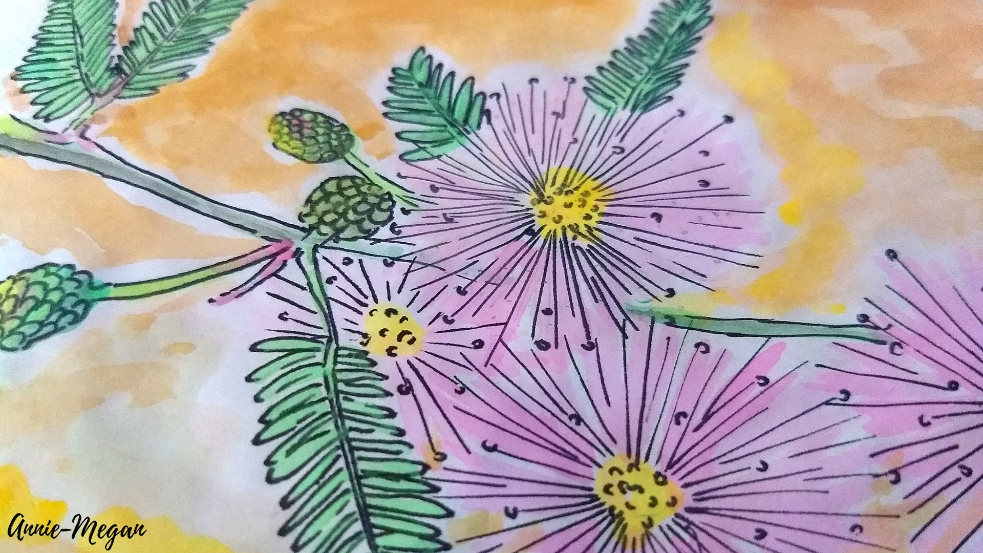 Inside the Touch-Me-Not (Mimosa pudica) plant