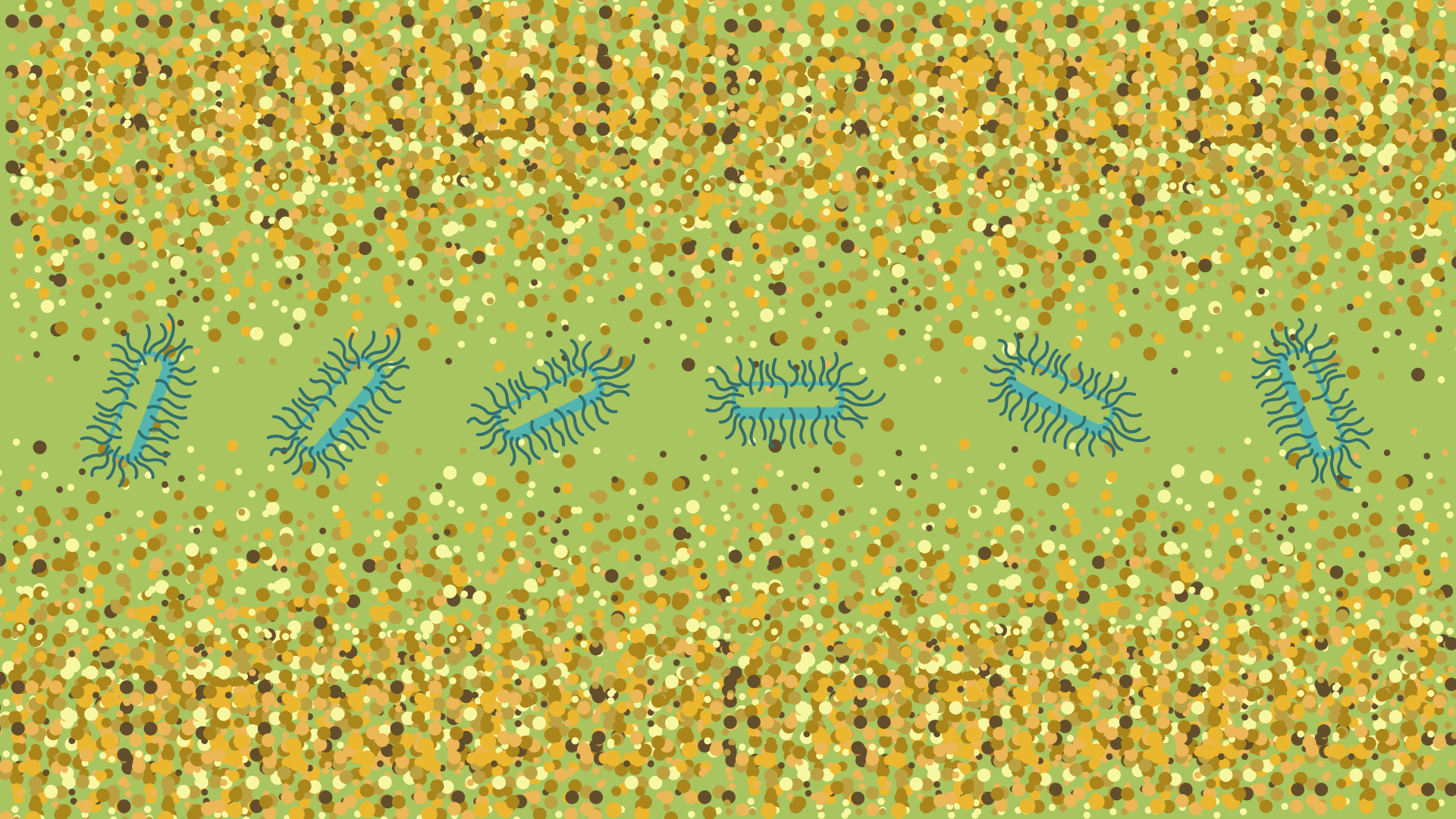 Fluorescent nanoparticles to shed light on bacterial growth