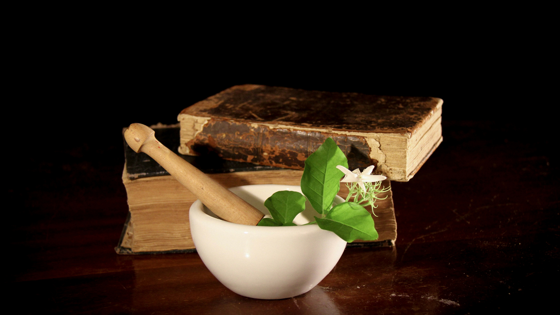 Scientists explore anti-cancer properties of traditional Siddha medicine, Pattu Karuppu