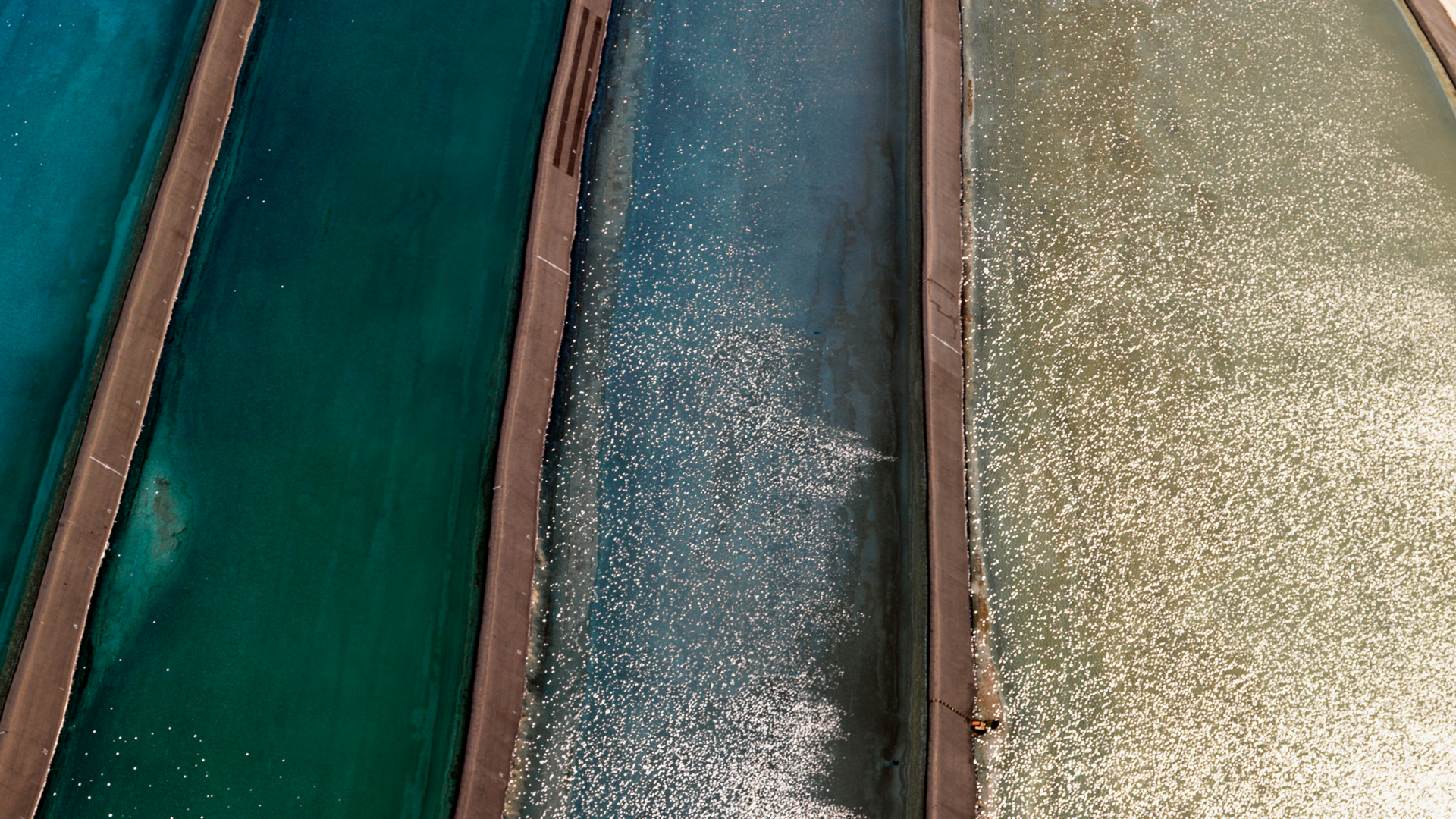 Researchers assess the damage to environment caused by tannery wastewater.