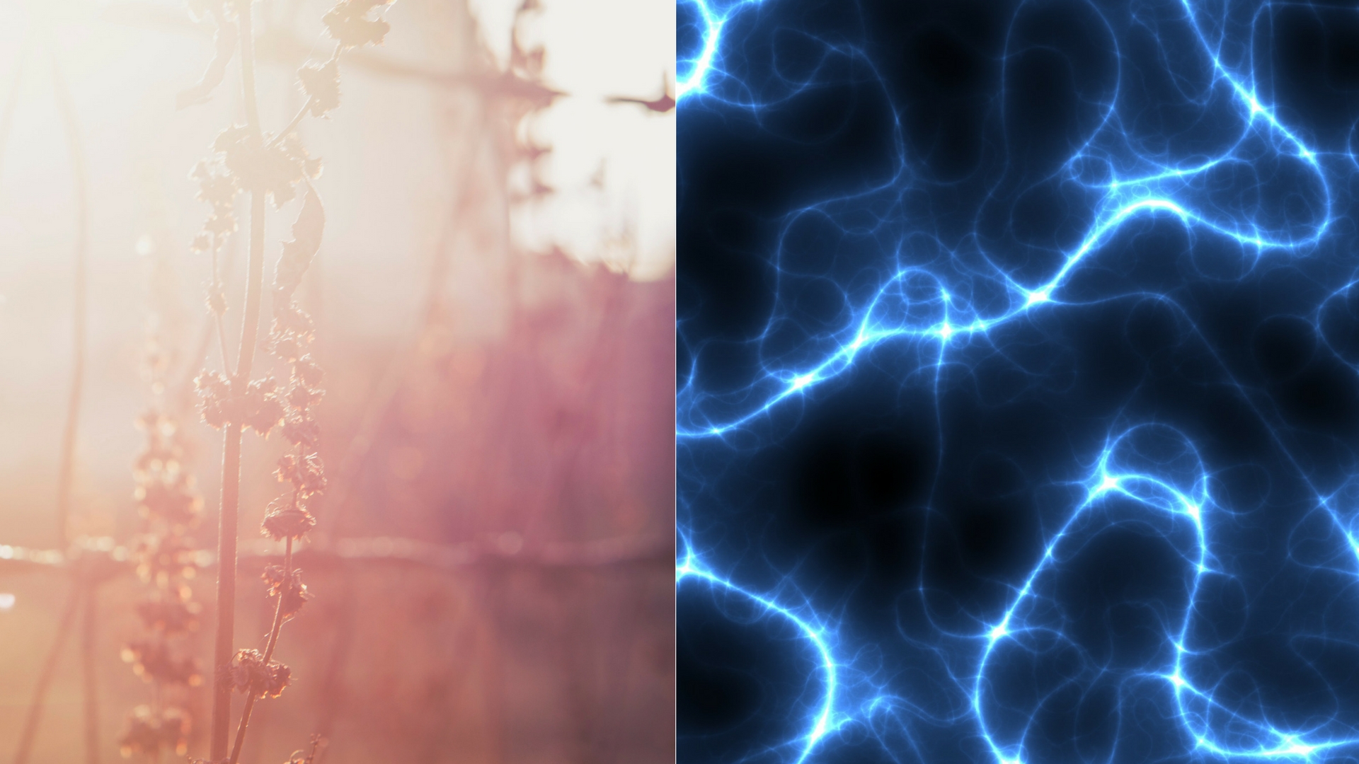 Quantum Dots could be used to build photocapacitors- a type of device that converts light to electricity