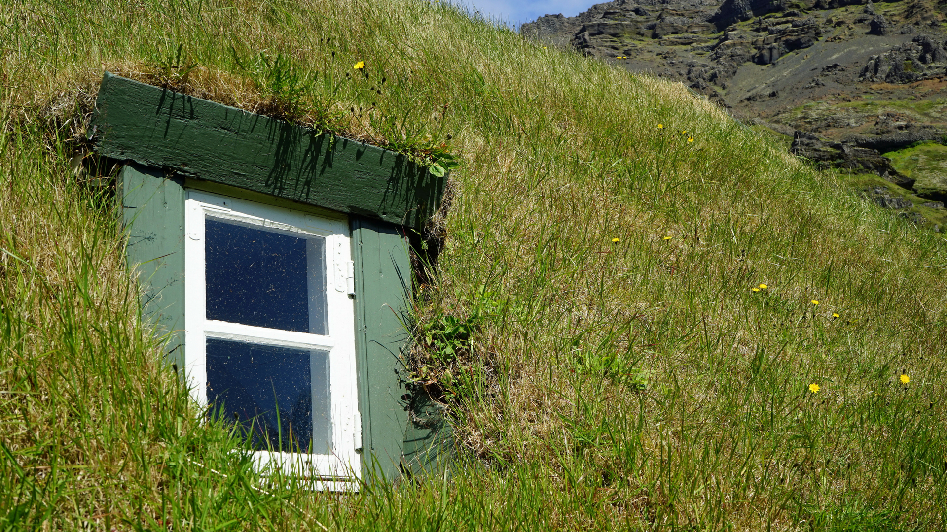 Green roofs and living walls can keep the city cooler, shows new IITB study.