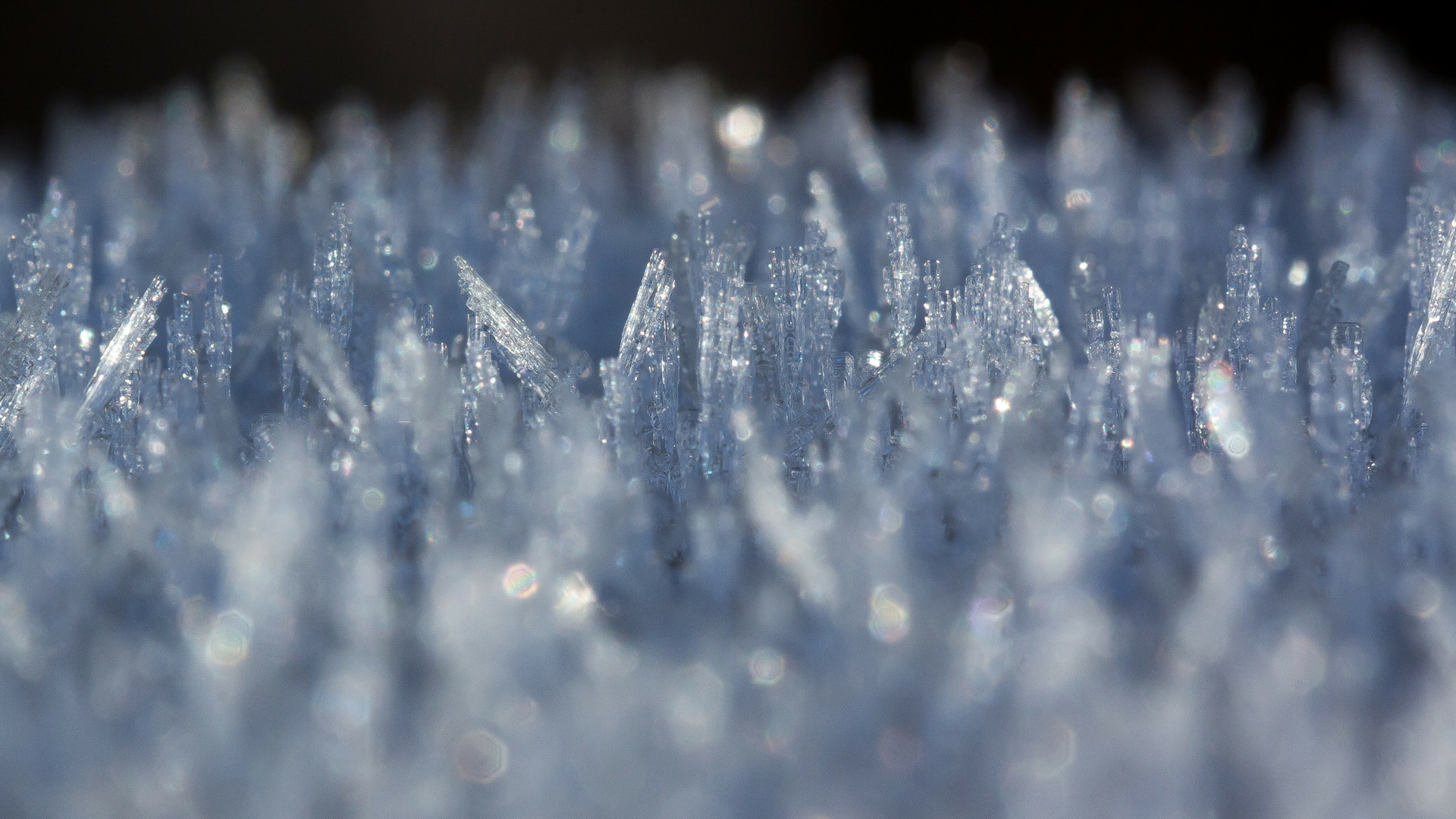 Researchers design versatile and elastic ‘soft’ crystals