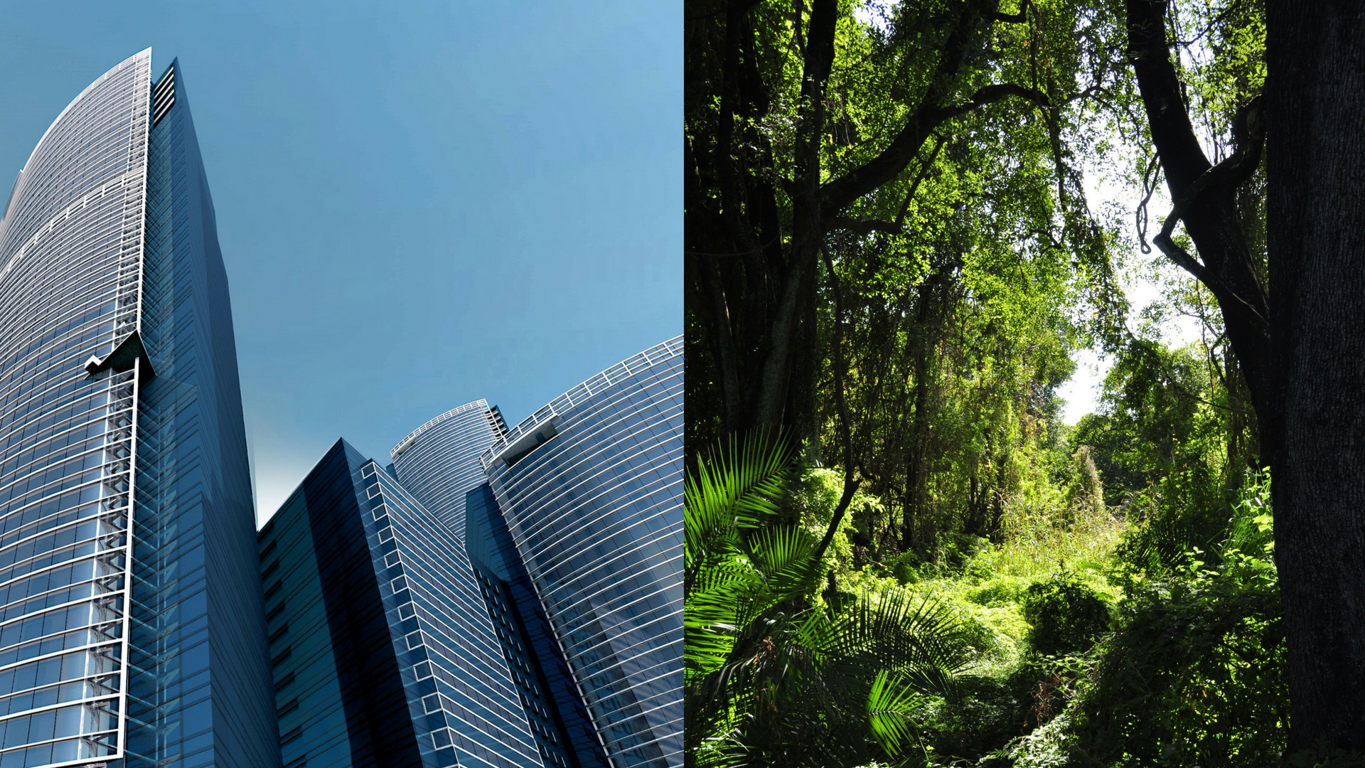 A novel algorithm from IITB can help organizations pursue the right environmental projects.