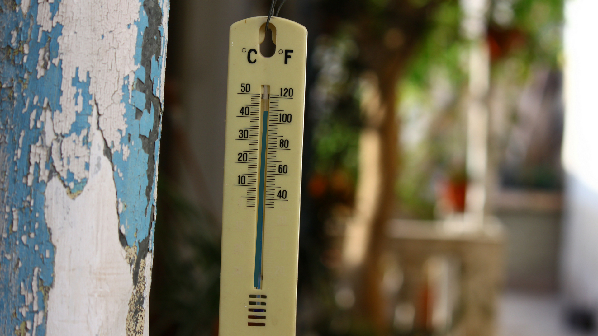 Feeling the heat: Study provides insights into the temperature trends in India