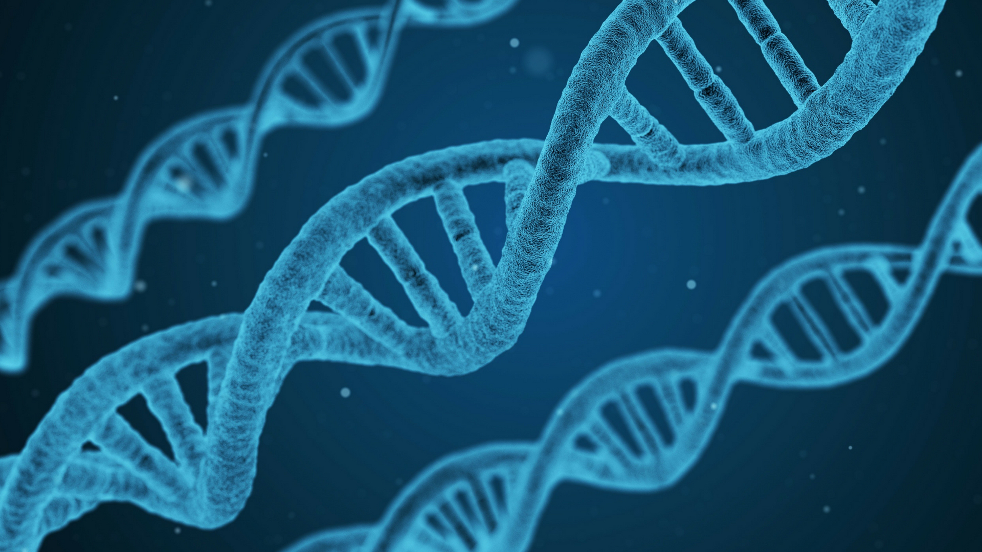 Scientists decipher the role of a gene that kicks off our immune response