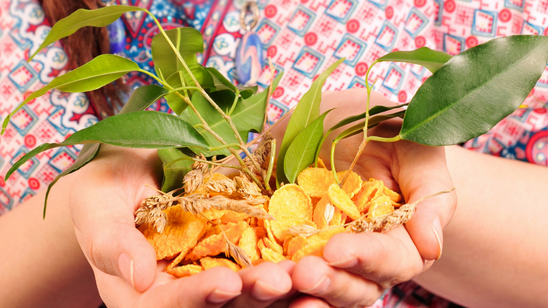 Study shows gender matters, for good, in plants