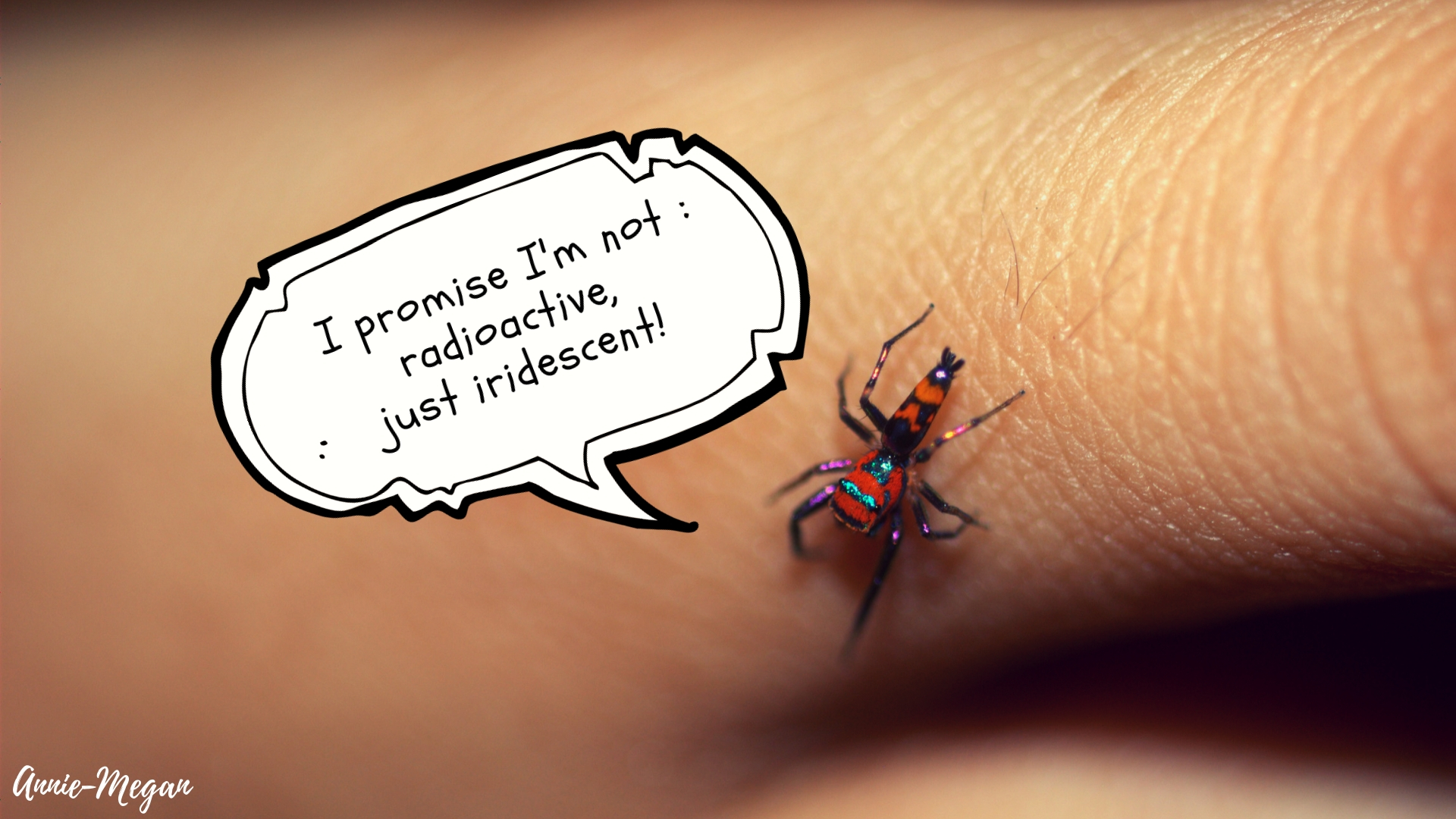 Dazzling Displays: Iridescence in Jumping Spiders