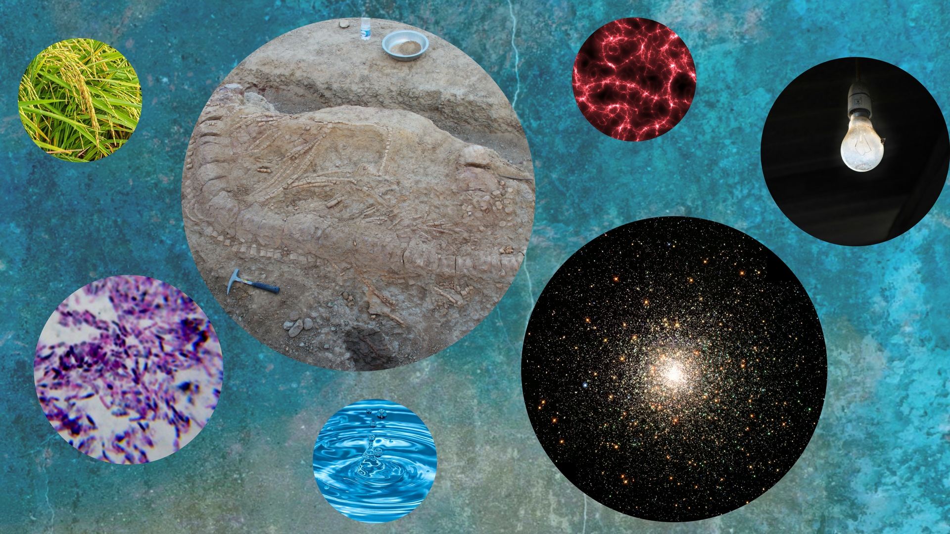 National Science Day -- Highlighting pioneering Indian innovations