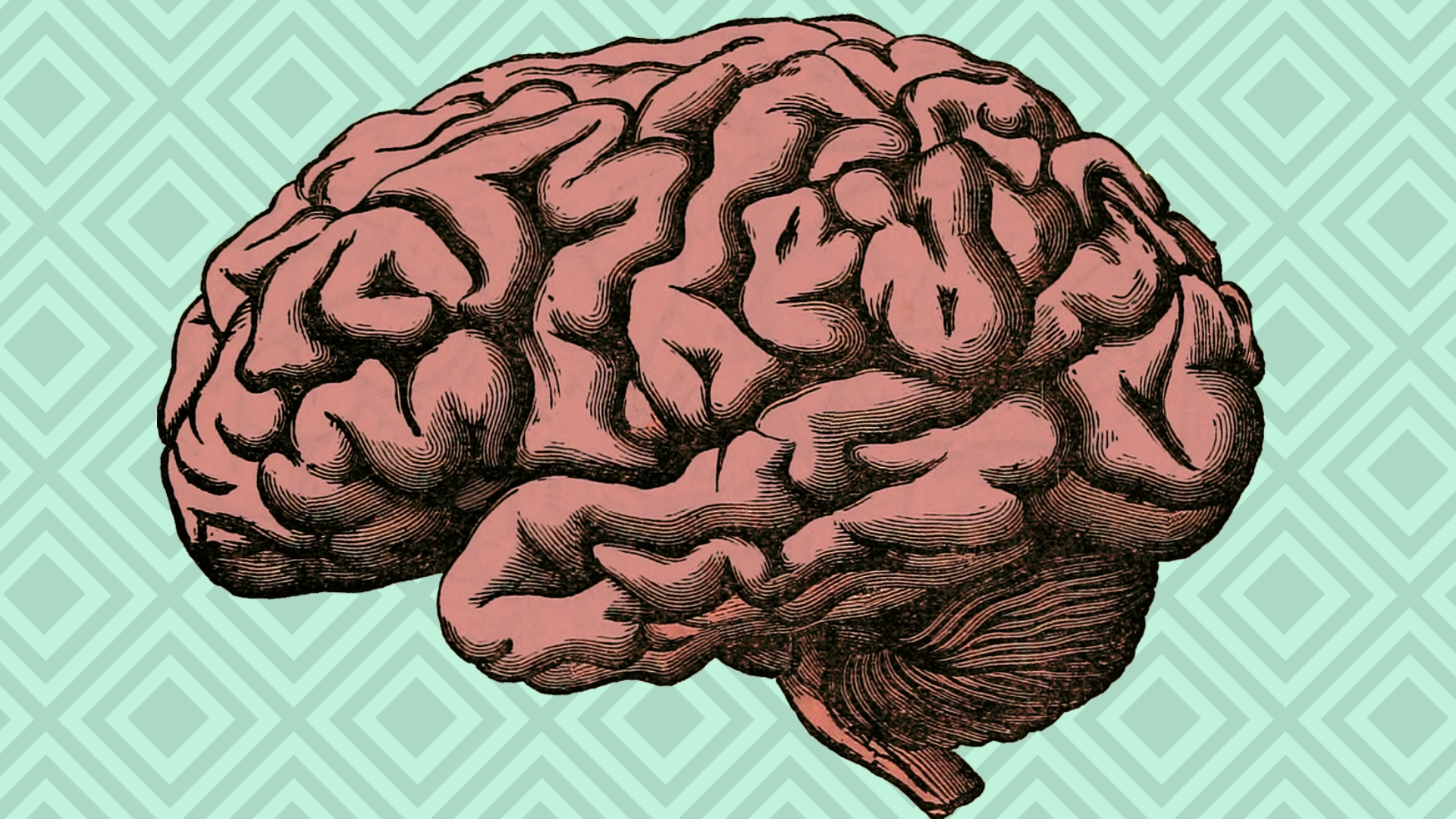 What’s the matter with the brain?