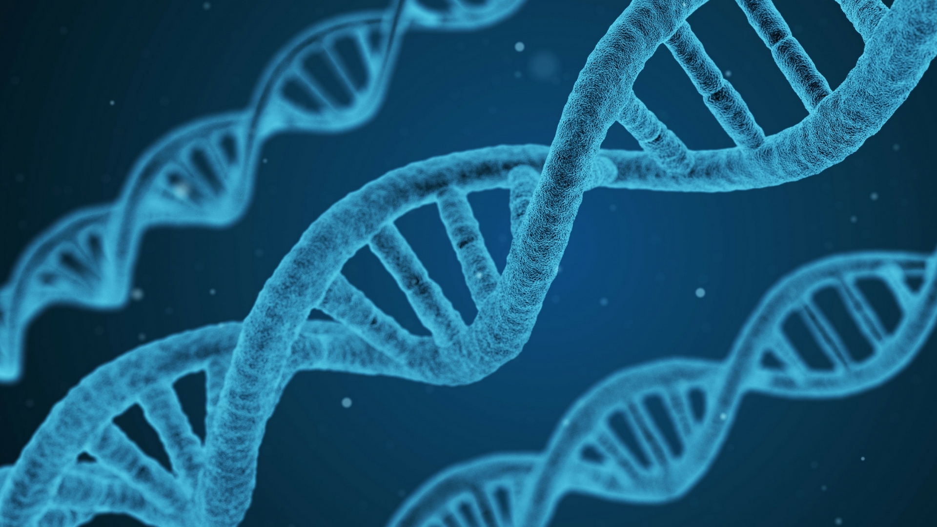 Variations in your genes could be a reason for your obesity, shows study.