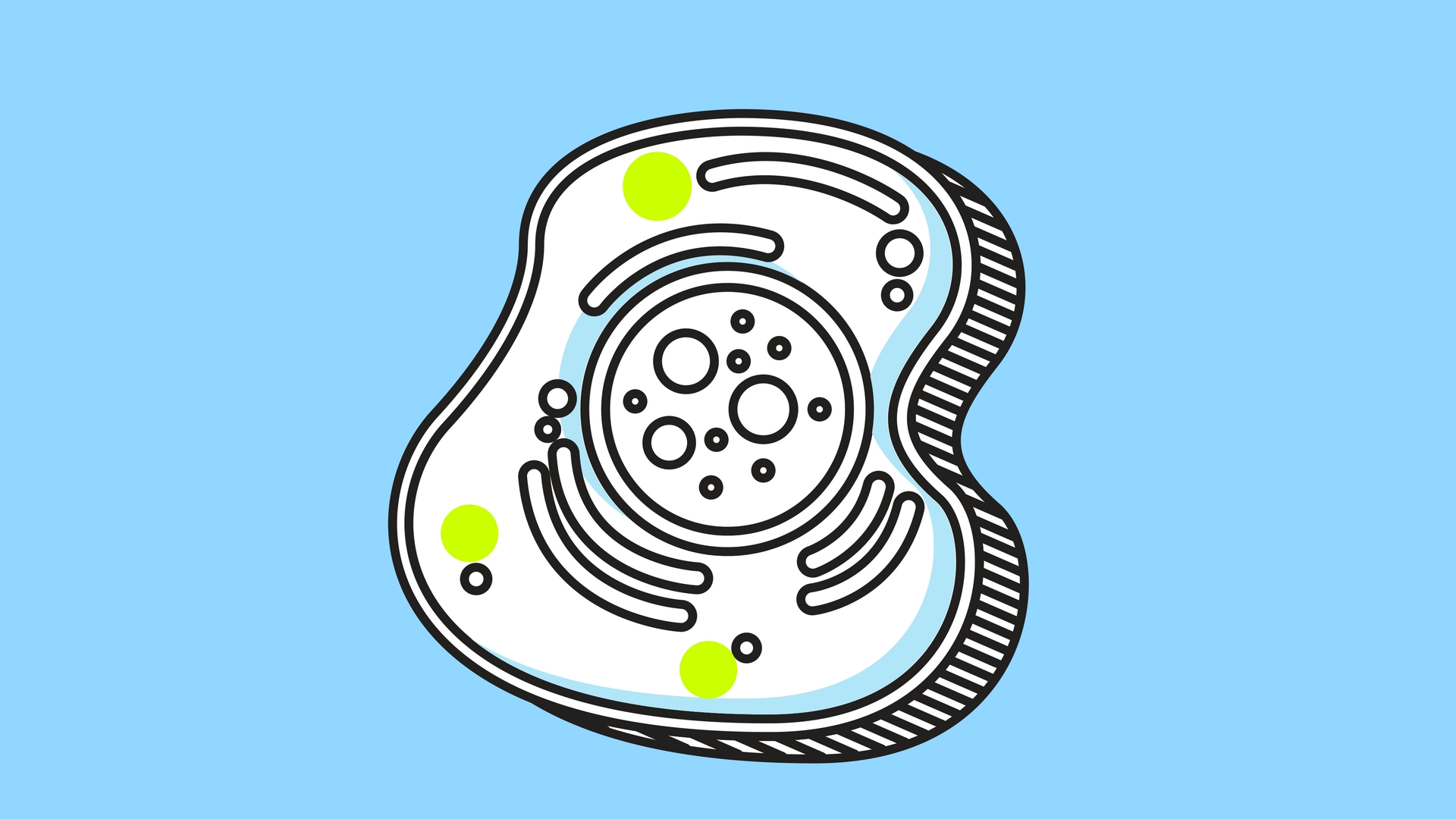 IIT Indore develops L-lyso a novel dye based tracker to track lysosomes