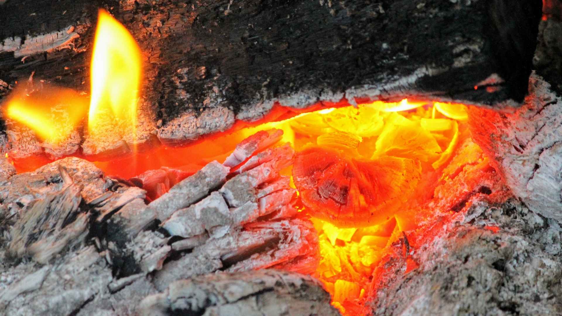 Is coal ash from thermal power plants harming the environment? Scientists think not.