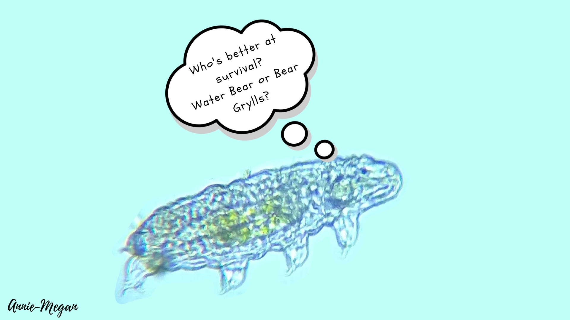 Tardigrades—The most robust organisms on Earth