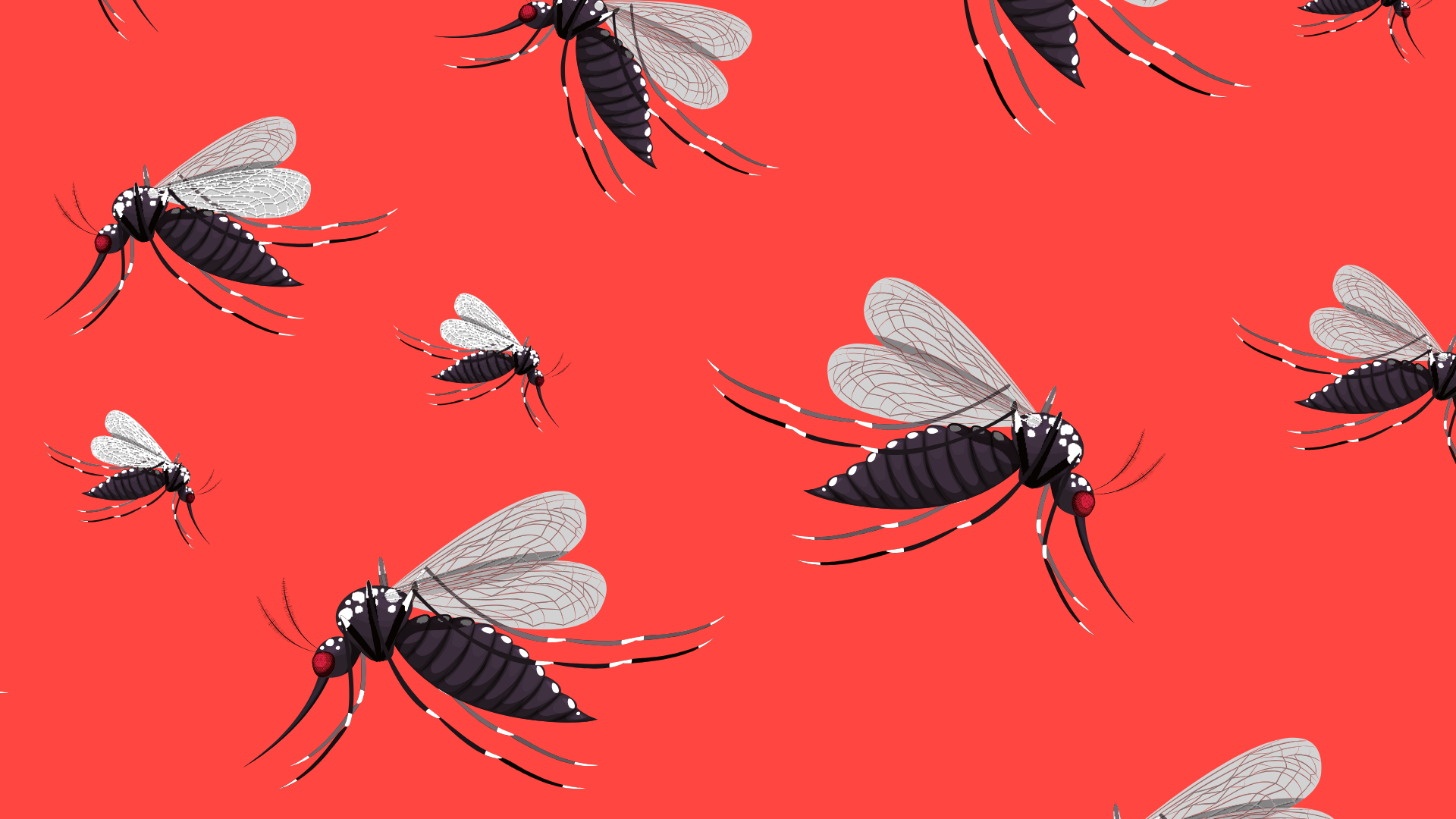 Researchers decipher the link between insulin signaling in mosquitoes and development of filarial parasites