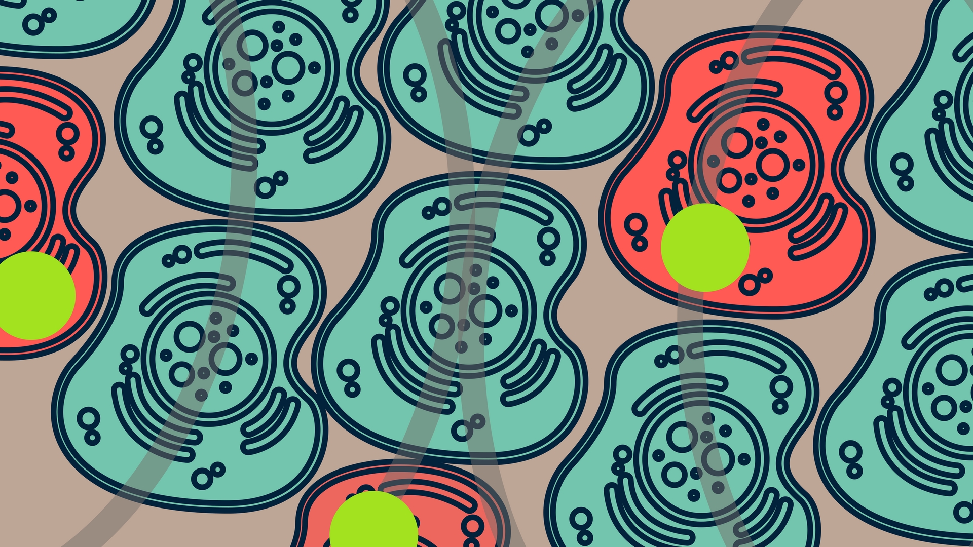 Exploring cells with magnetically controlled machines