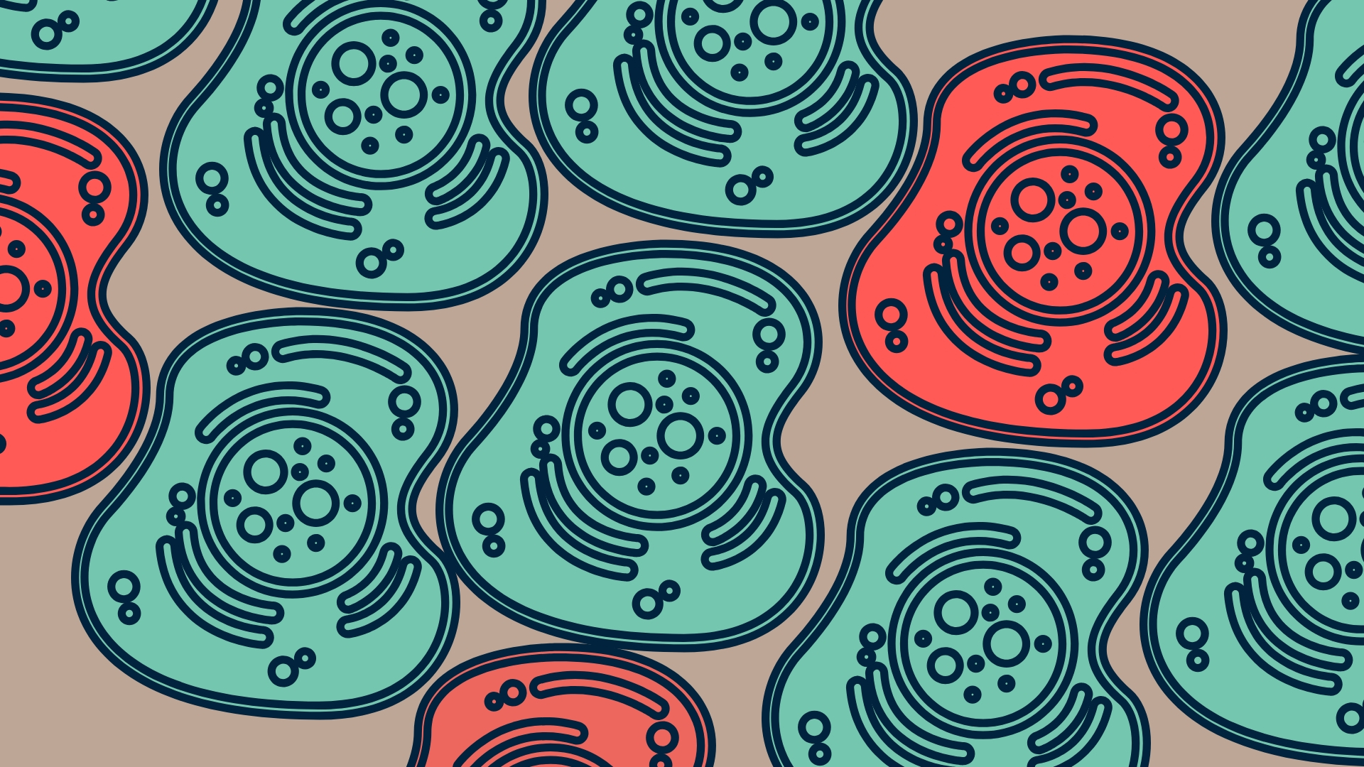 The micro effects of Fasting and Feasting