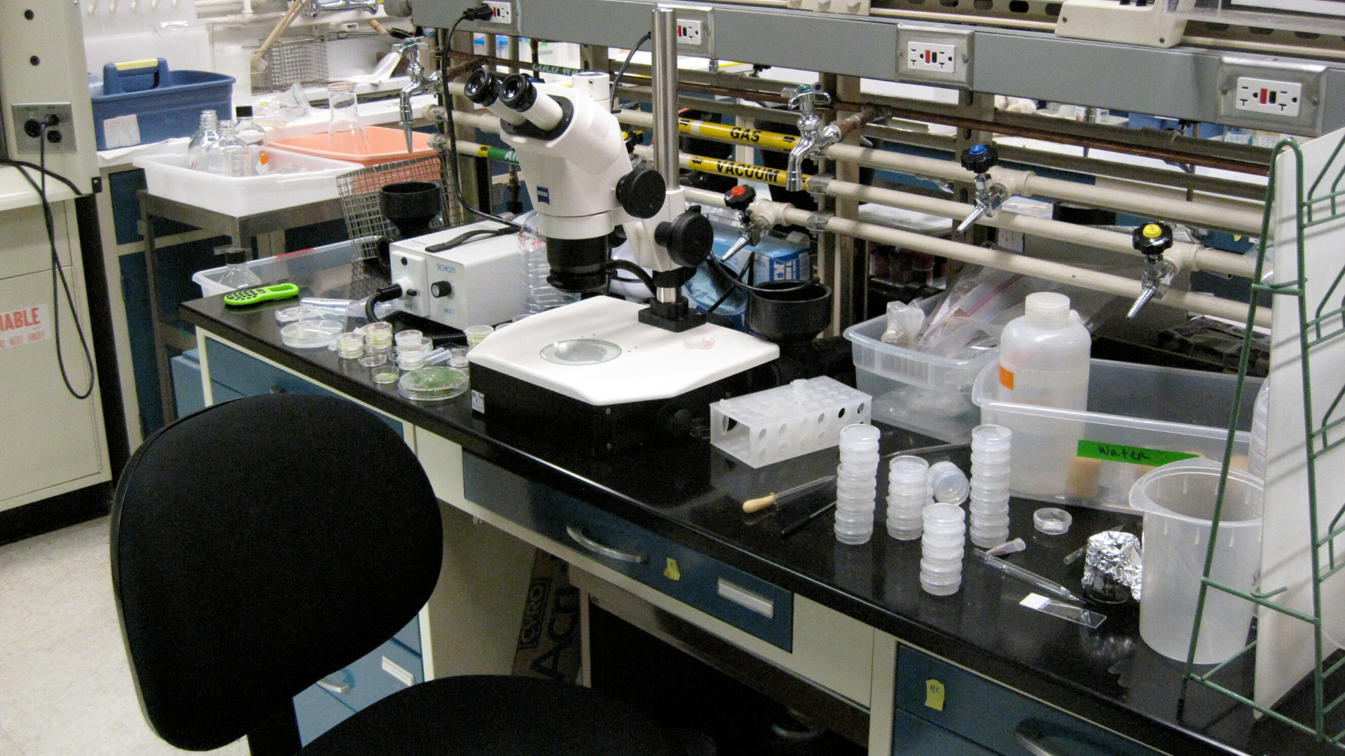 An Inexpensive Approach to Patterning Cells in a Lab