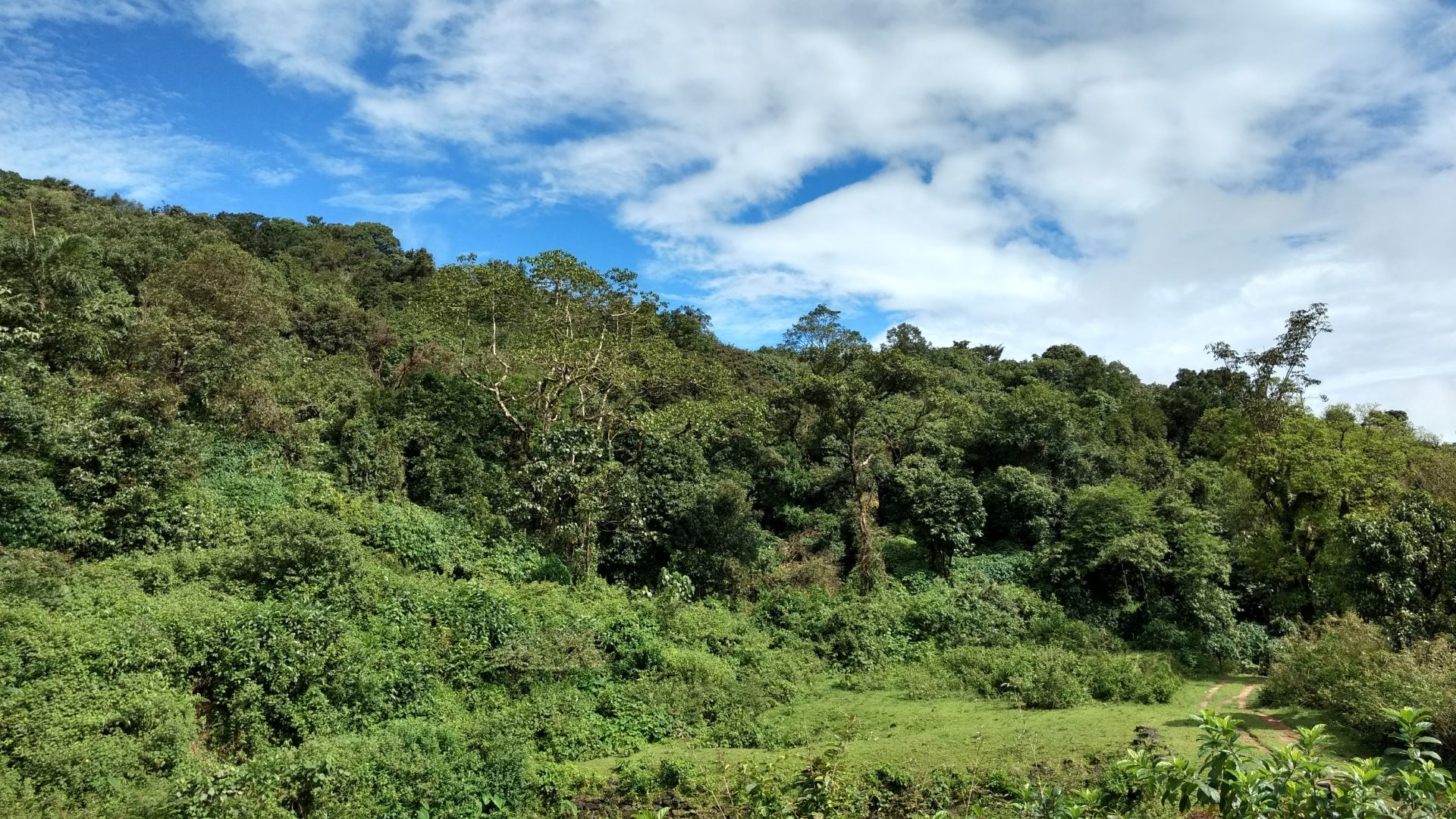 Convention on Biological Diversity: A boon or bane, question global biodiversity scientists