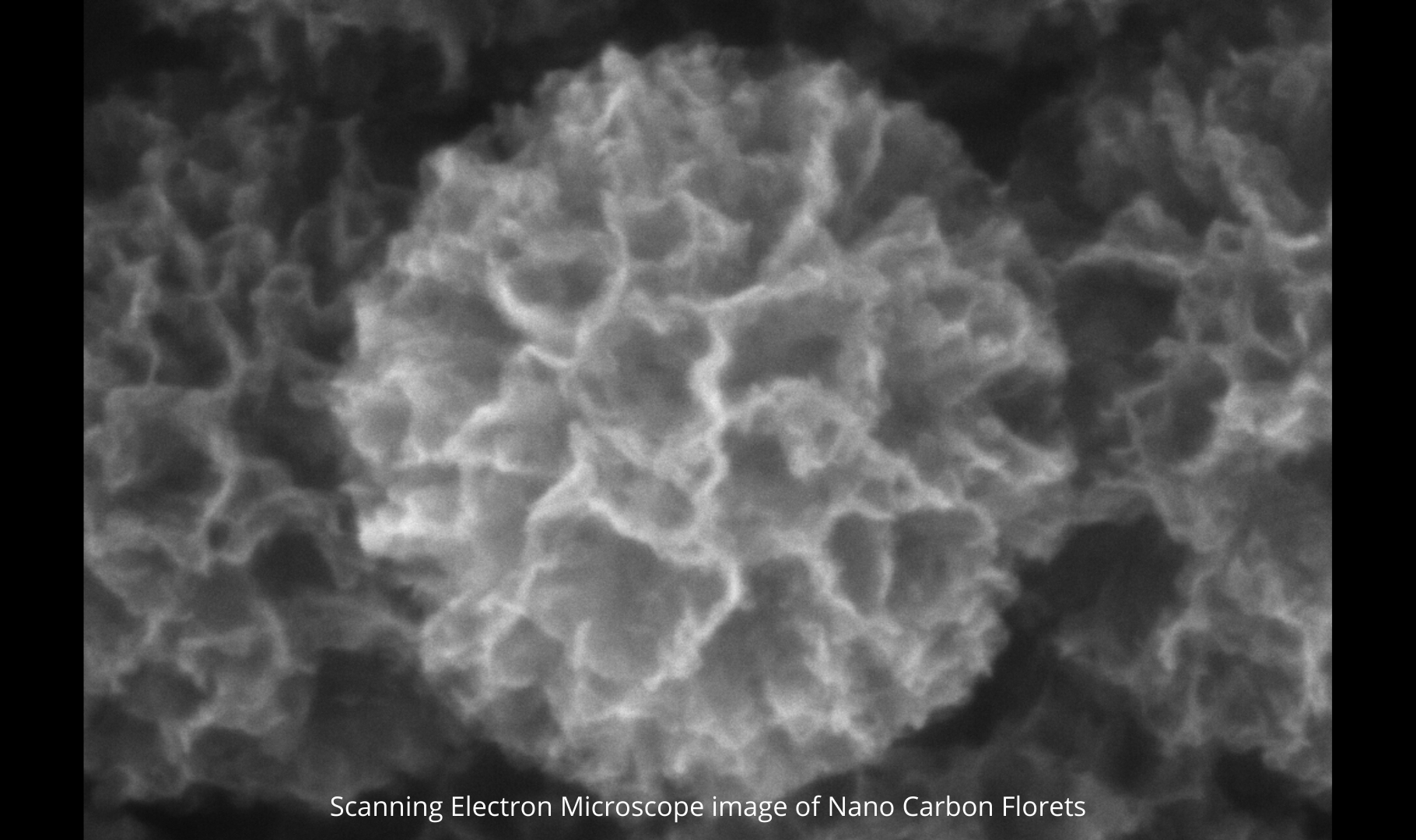 Nanocarbon Florets to Treat Industrial Effluents