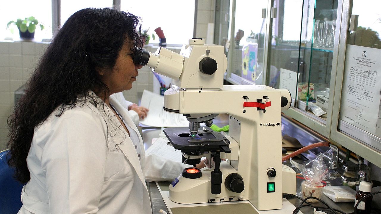 What goes on in a stem cell that is on a slumber? Researchers find out