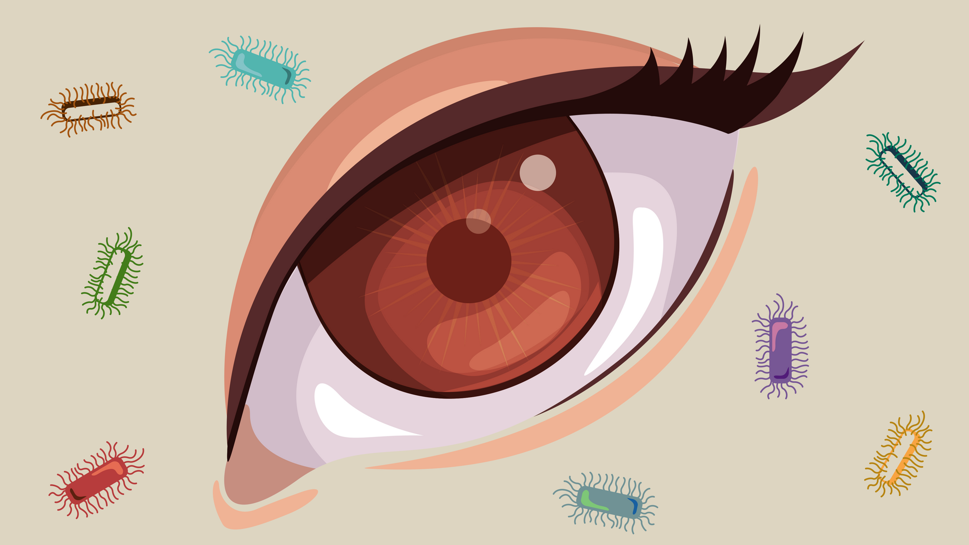 Scientists study drug resistant E-coli affecting the eye