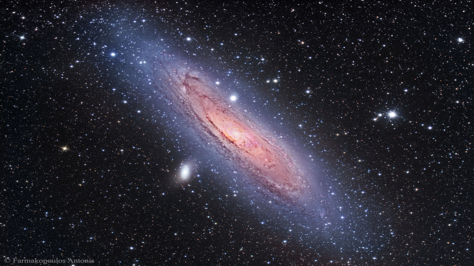 Molecular hydrogen making up galactic discs come in two forms
