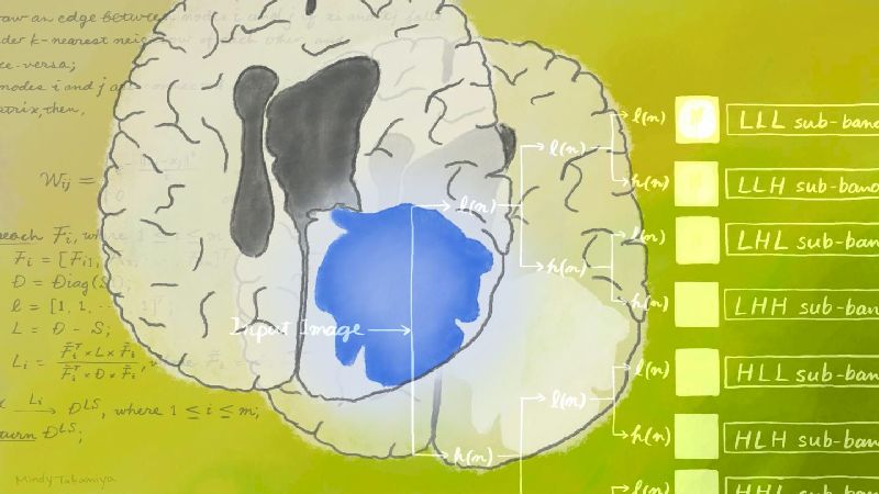 Machine Learning models to aid faster and easier detection of brain cancer