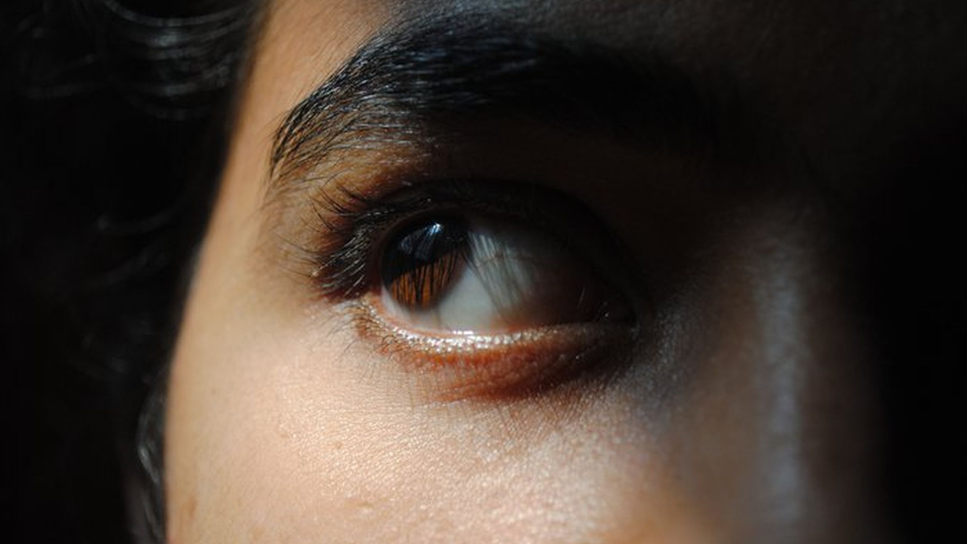 An insight into the gift of sight