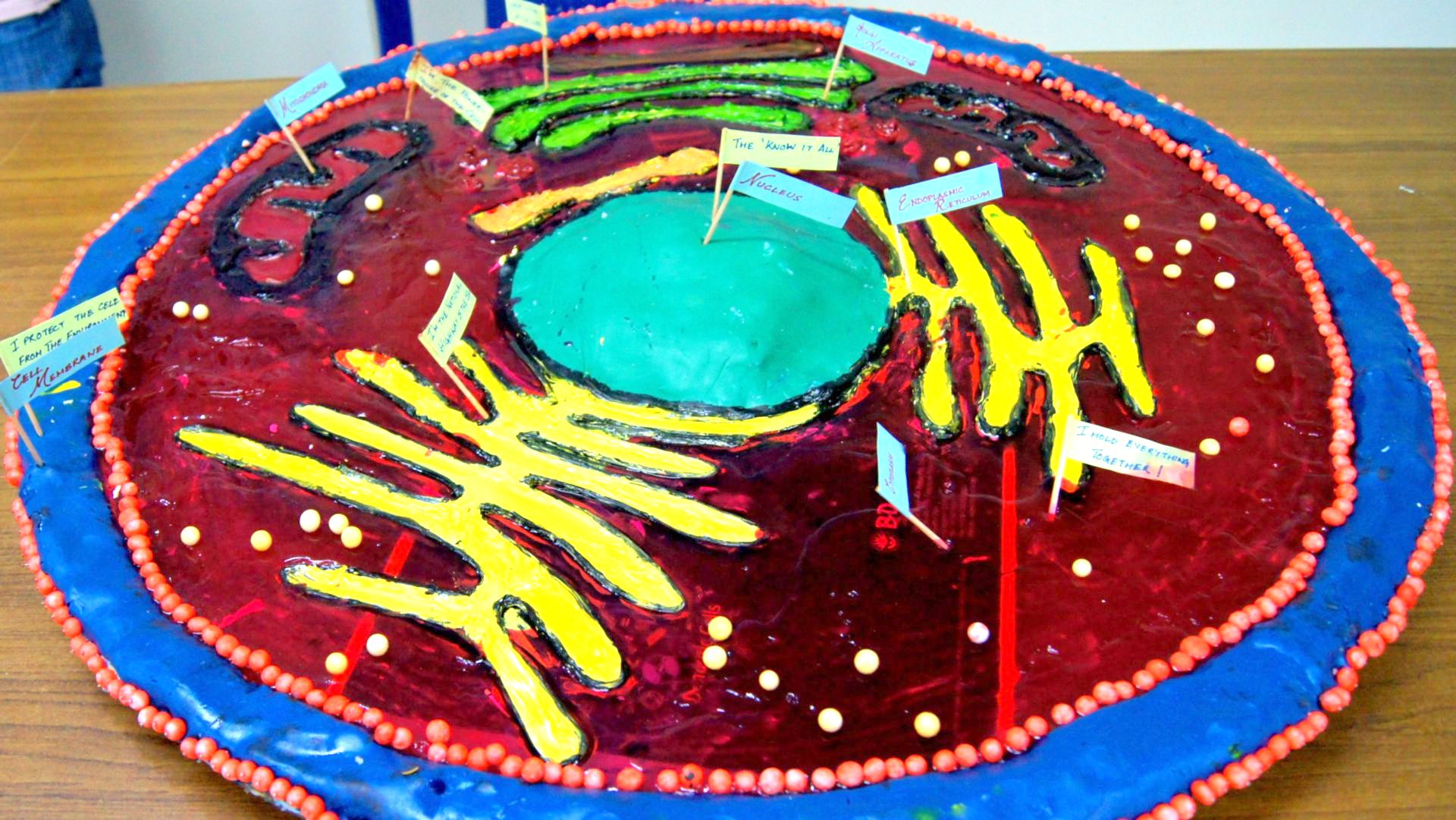 Immune Checkpoint Blockade Therapy – Unleashing the immune system in a war against cancer