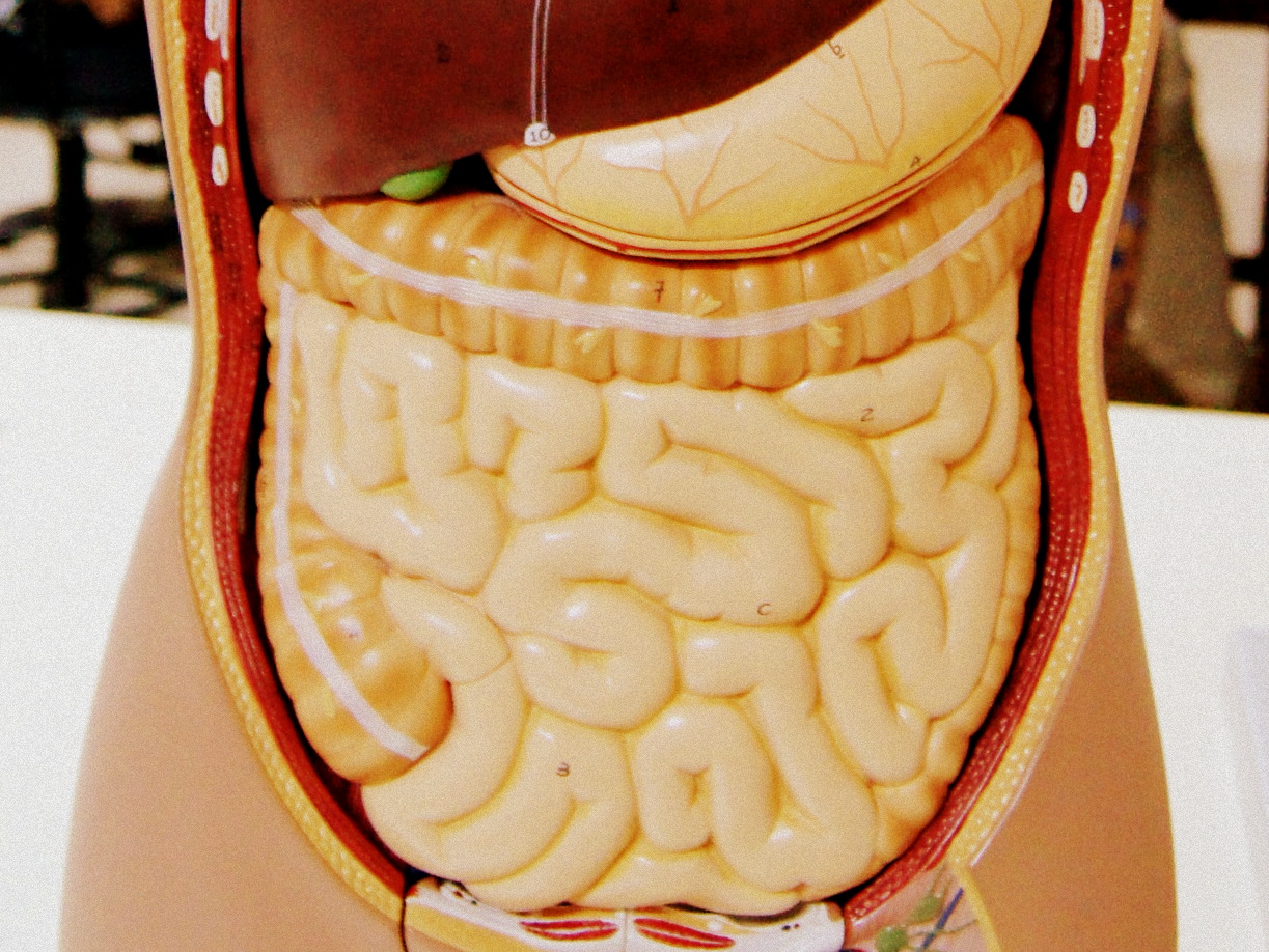 The sniff of health – Scientists design improved methods to diagnose intestinal infections using breath