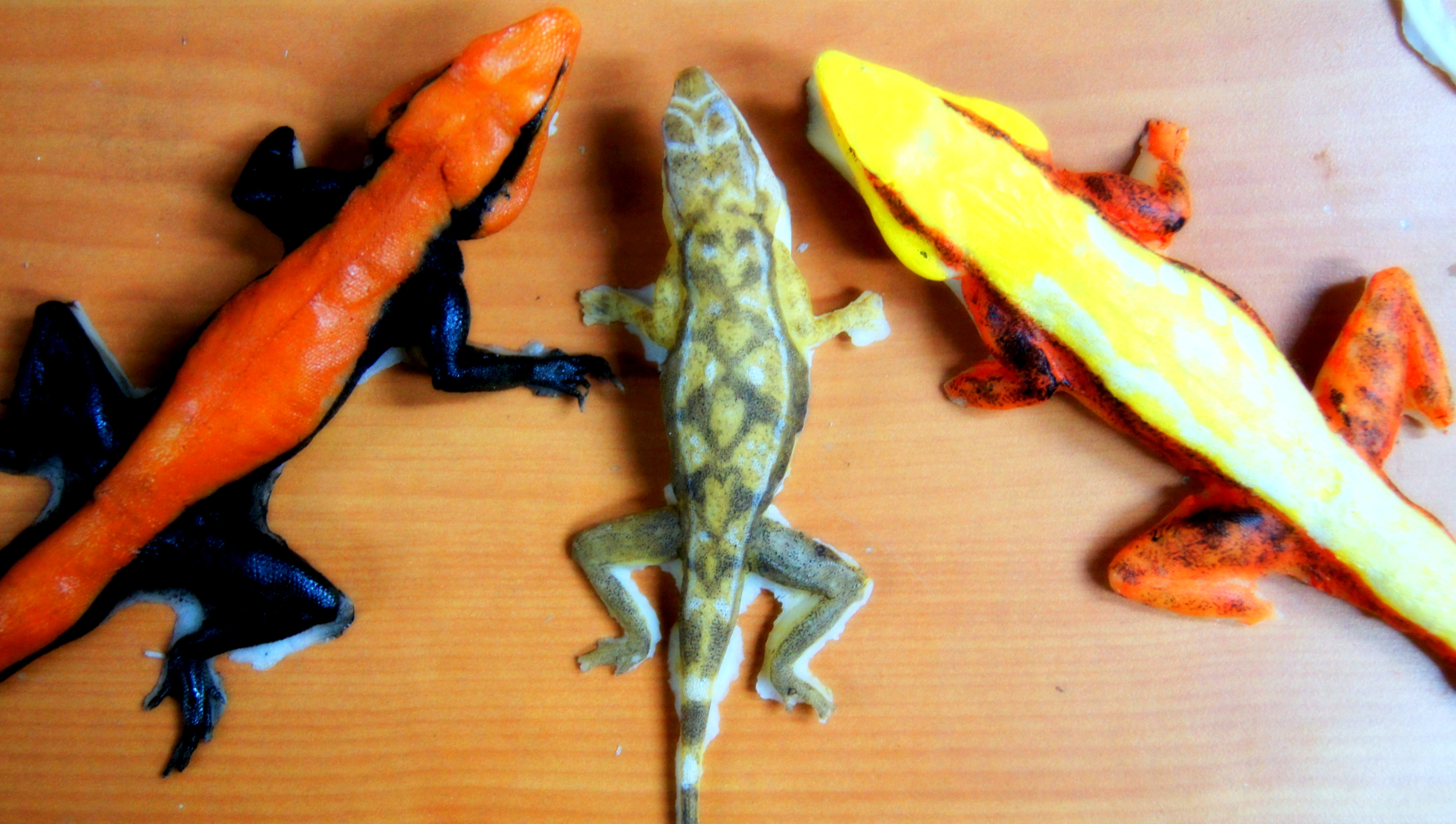 Could human interference be affecting a lizard’s signalling and escape behaviour?