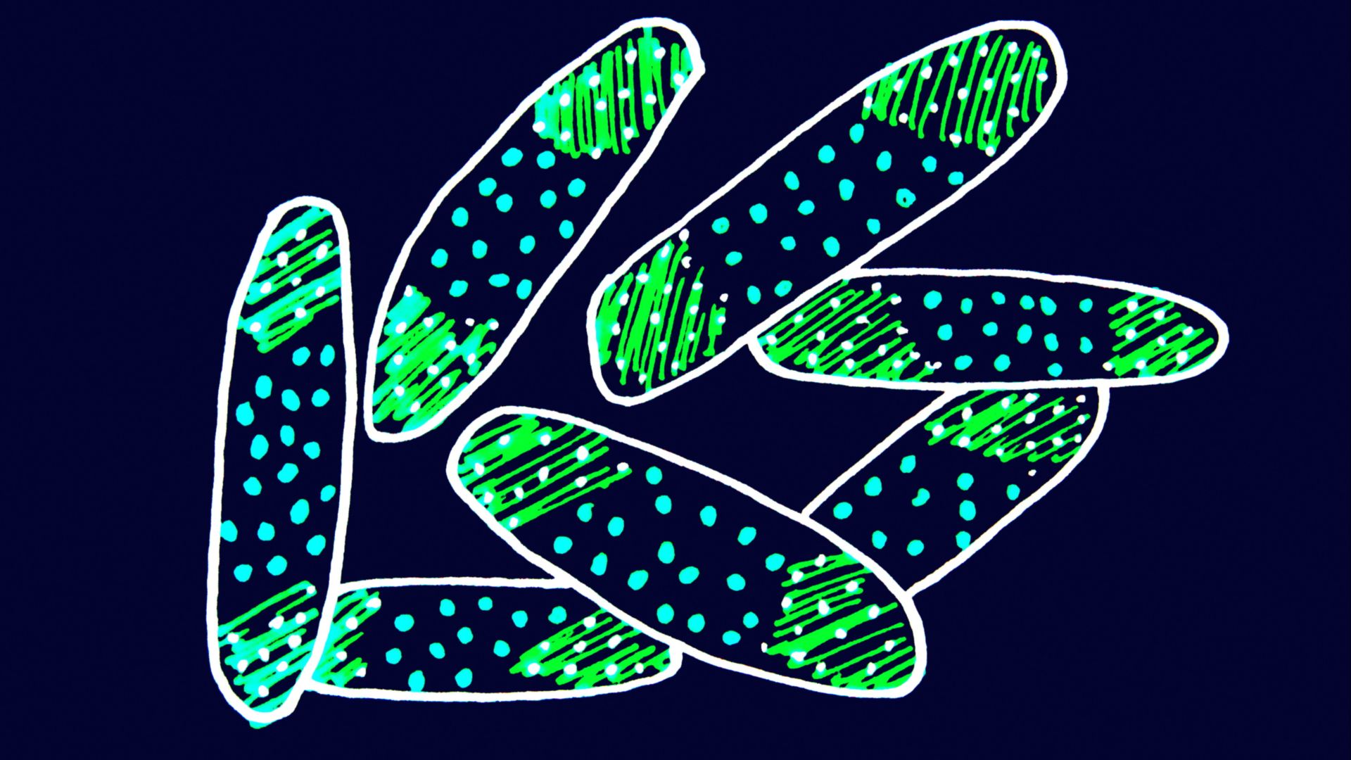 Holding the fort against Mycobacterium: Scientists discover how our body fights back